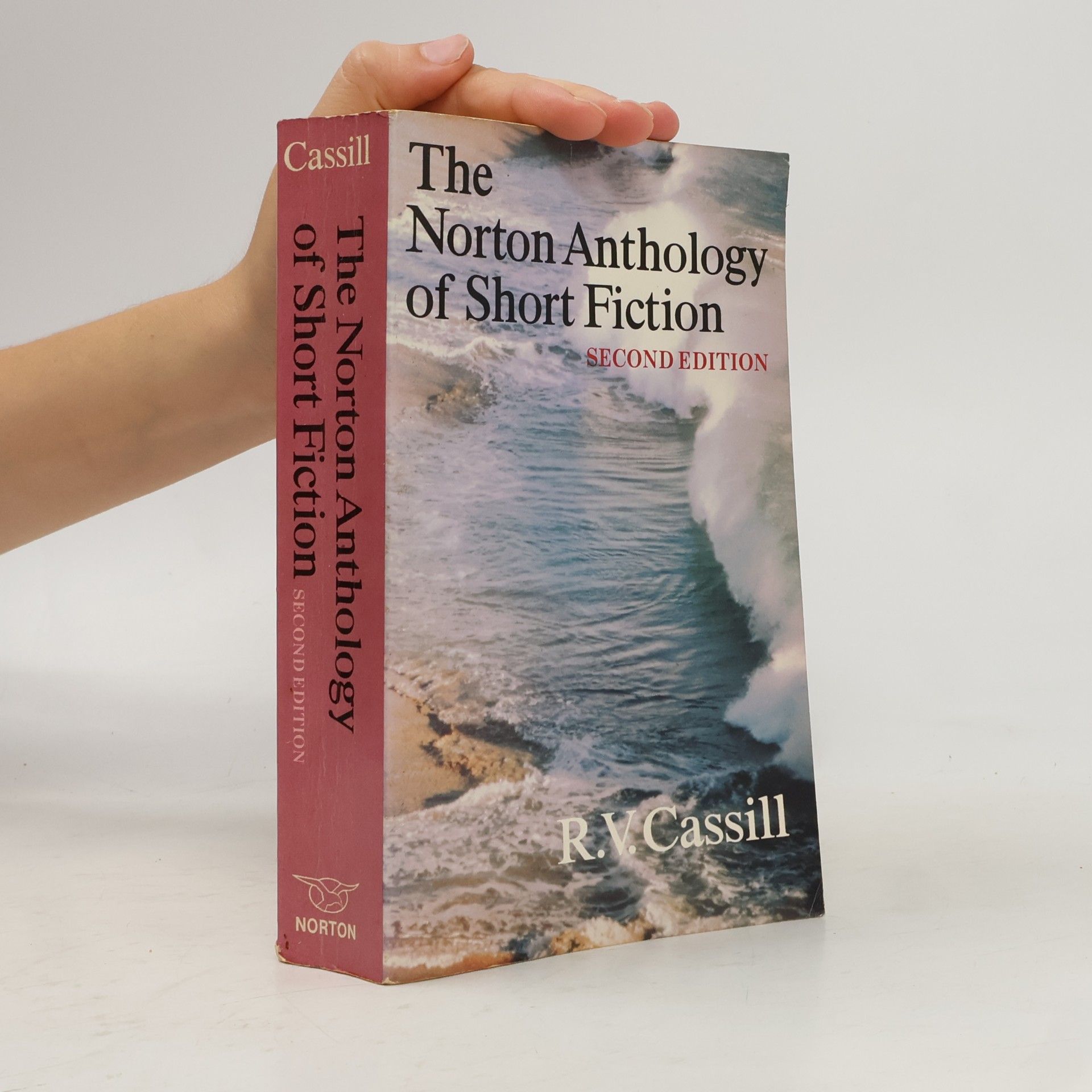 R. V. Cassill The Norton Anthology of Short Fiction