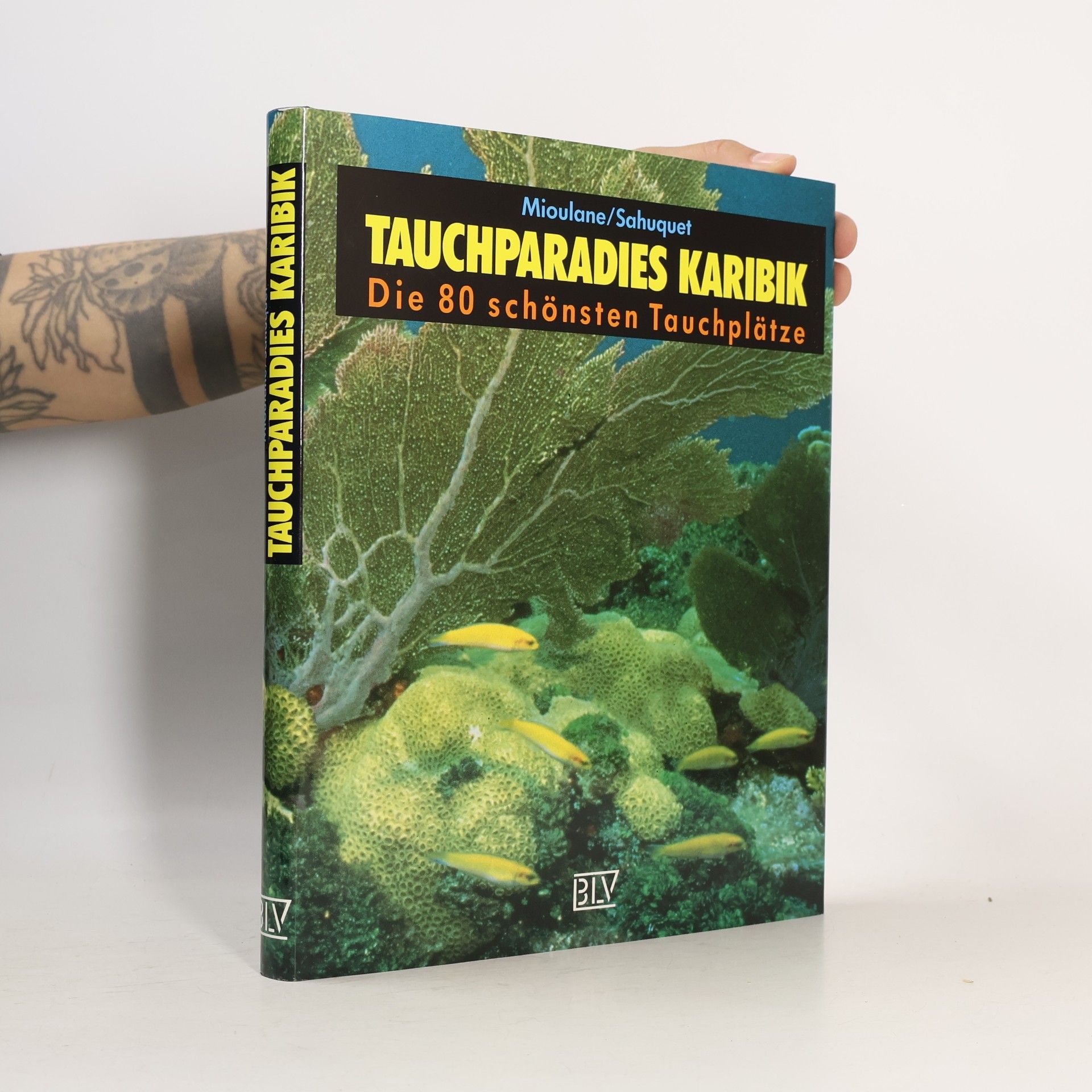 Patrick Mioulane Tauchparadies Karibik