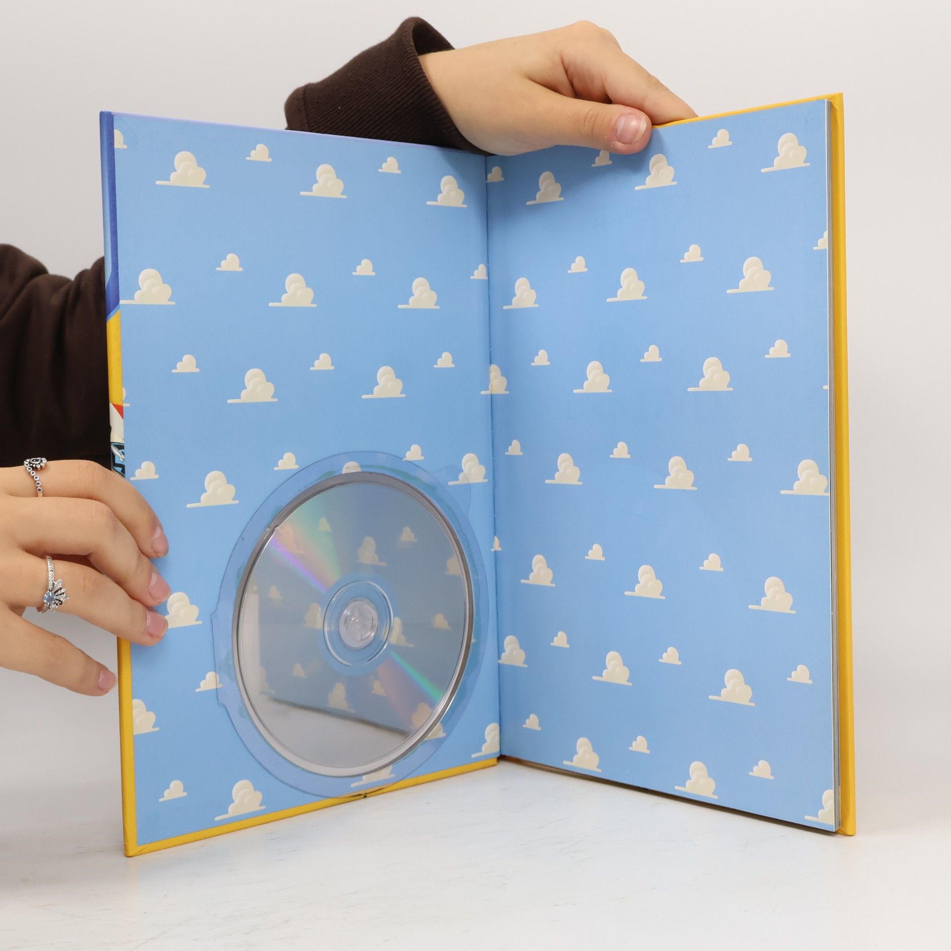 Kolektiv autorů Toy-Story. Buch