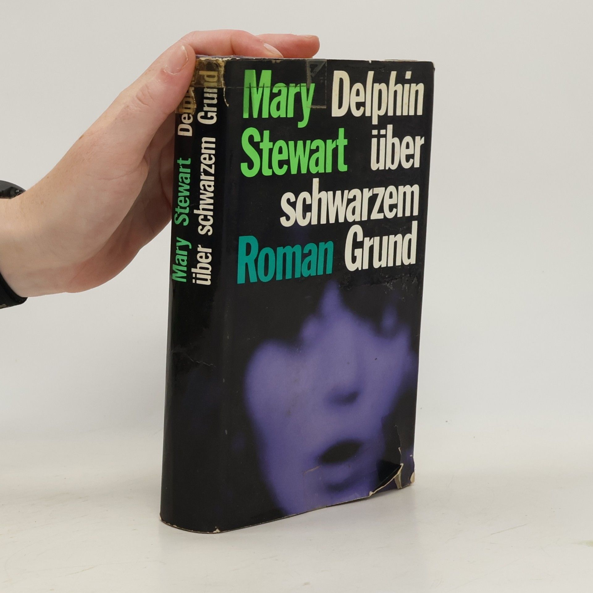 Delphin über schwarzem Grund