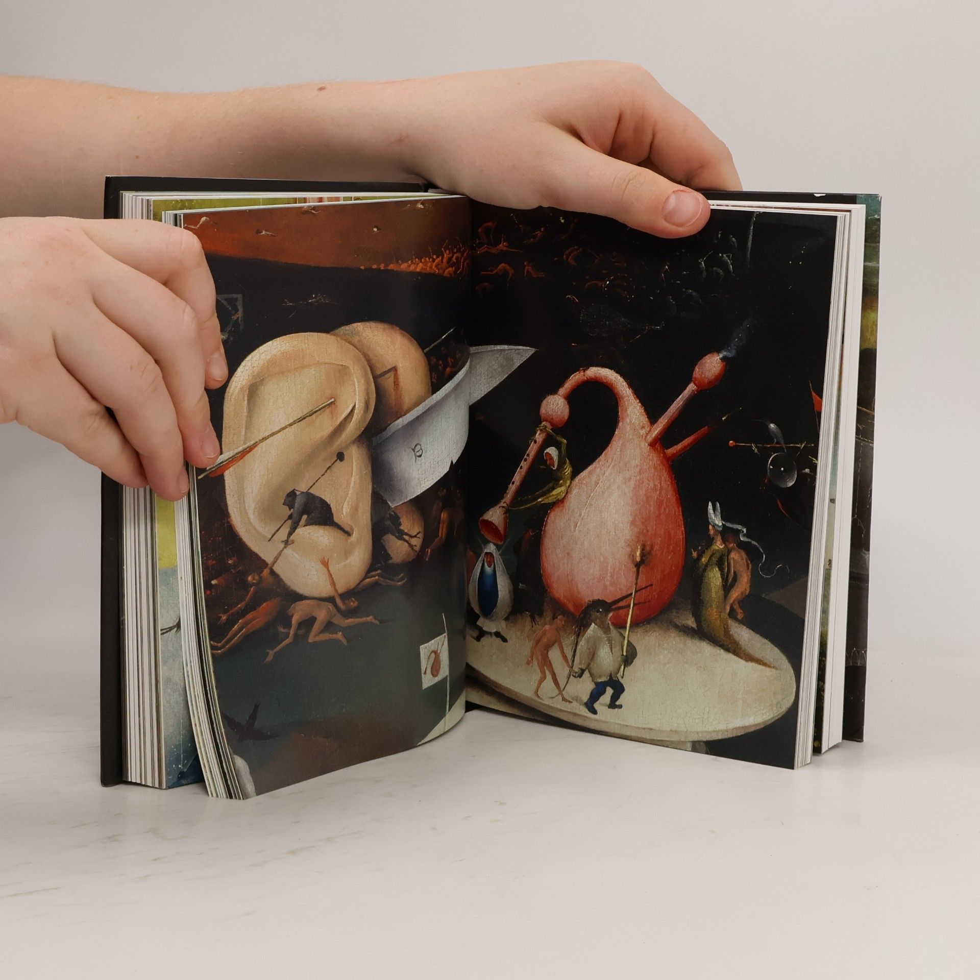 Stefan Fischer Hieronimus Bosch: The complete works