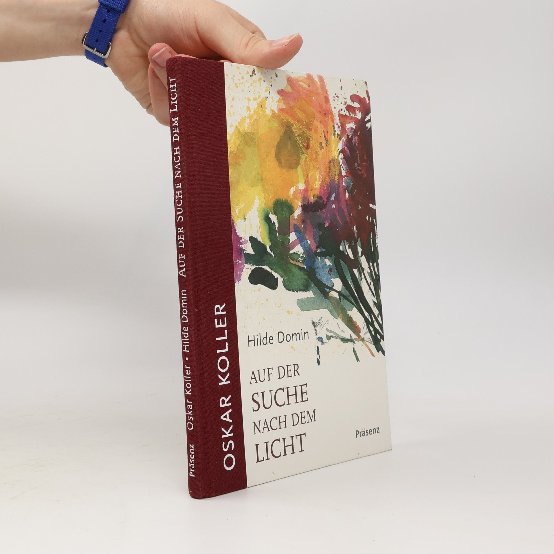 Oskar Koller Auf der Suche nach dem Licht