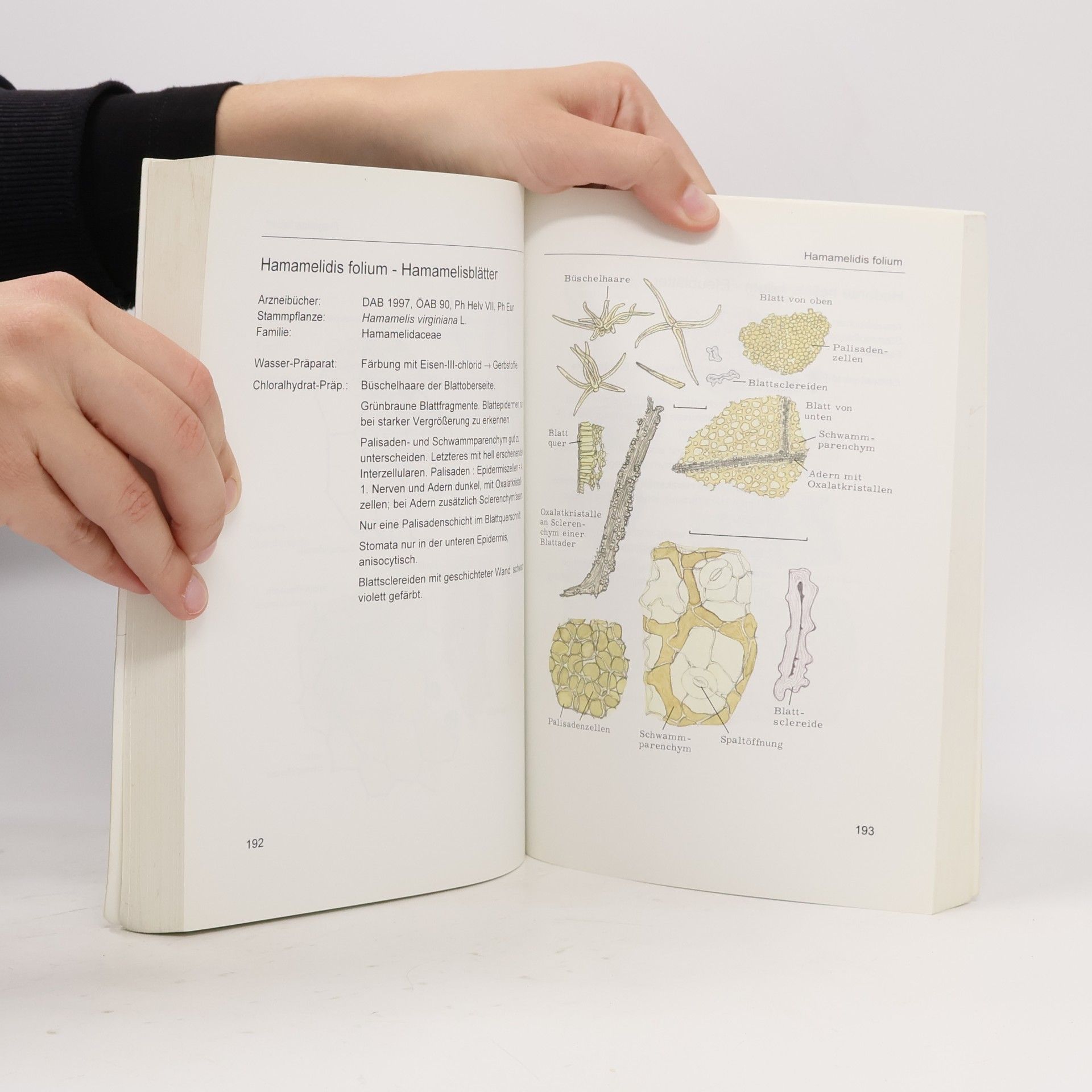 Walter Eschrich Wissen und Praxis: Pulver-Atlas der Drogen der deutschsprachigen Arzneibücher - 7. Auflage