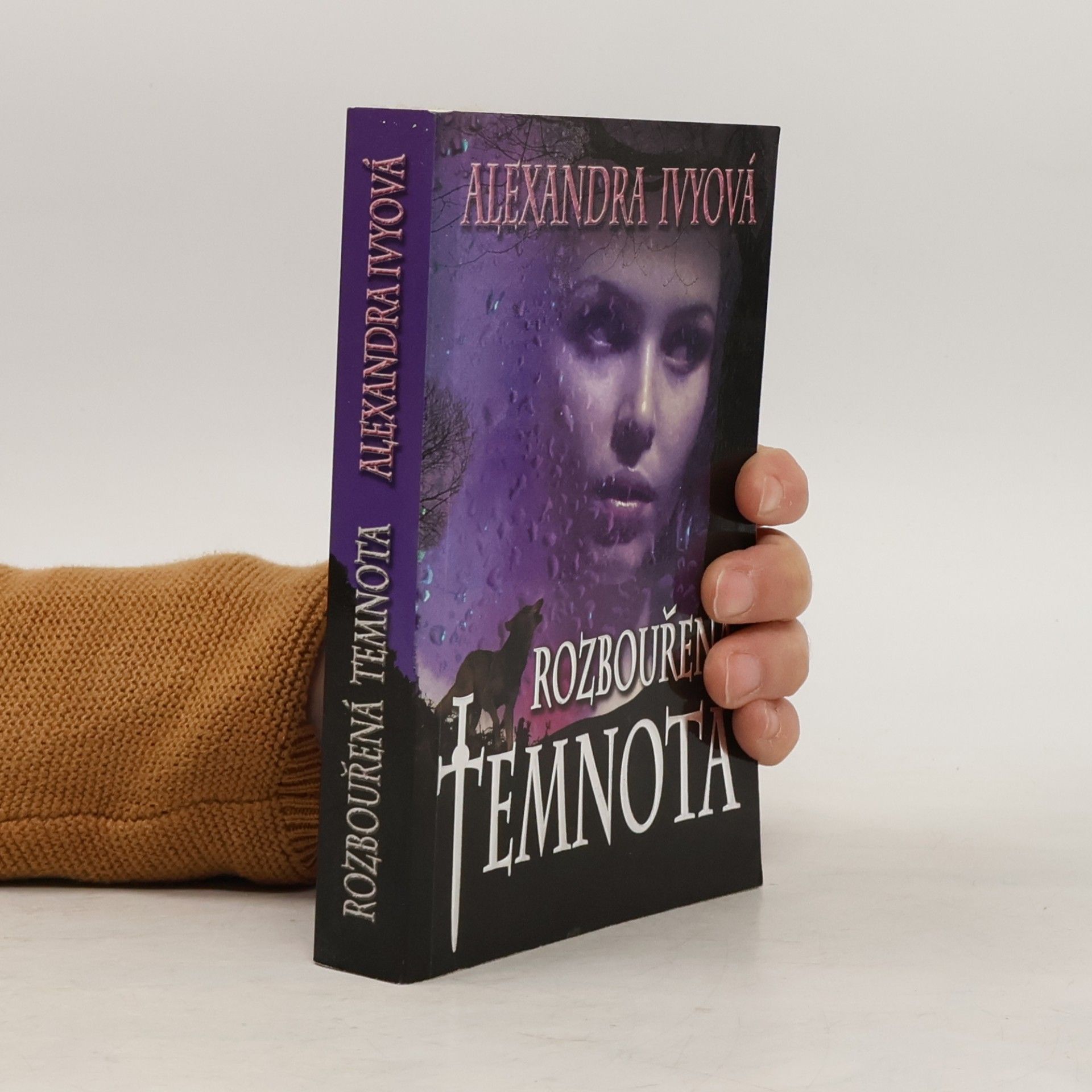 Debbie Raleigh Rozbouřená temnota