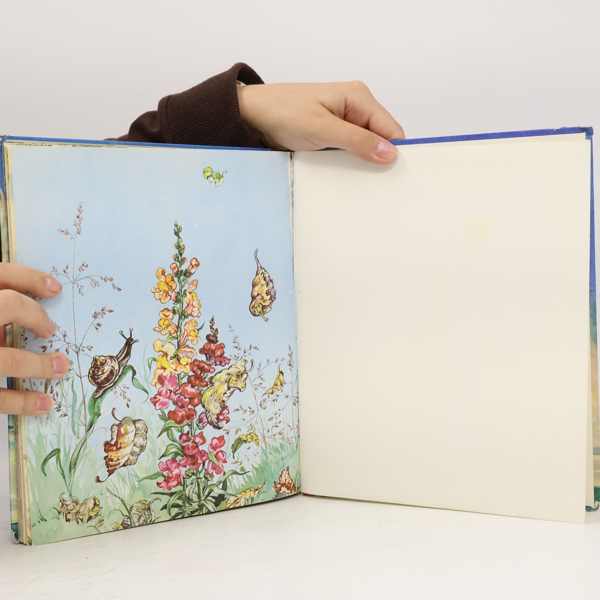 Hans Christian Andersen DIE SCHÖNSTEN ANDERSEN MÄRCHEN