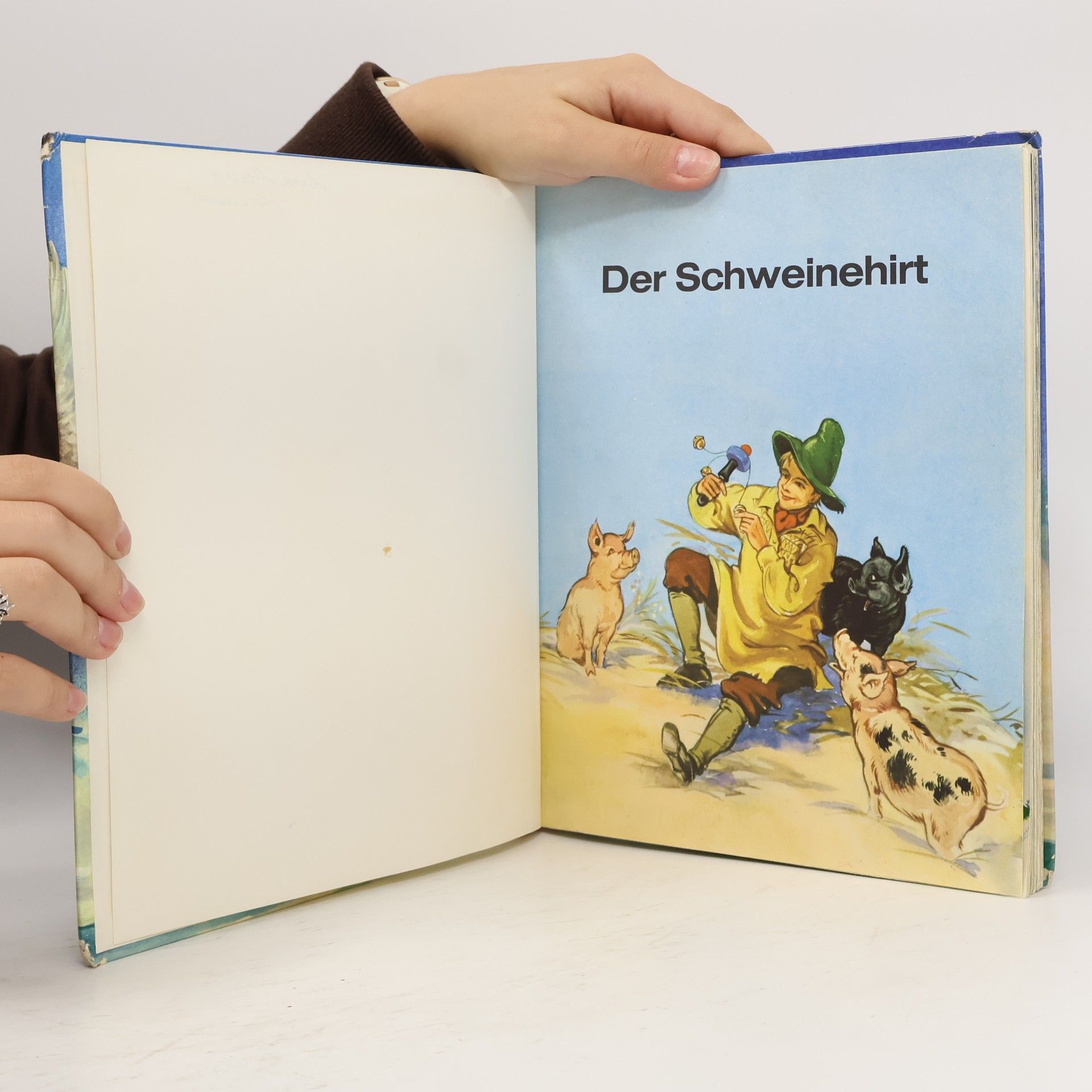 Hans Christian Andersen DIE SCHÖNSTEN ANDERSEN MÄRCHEN