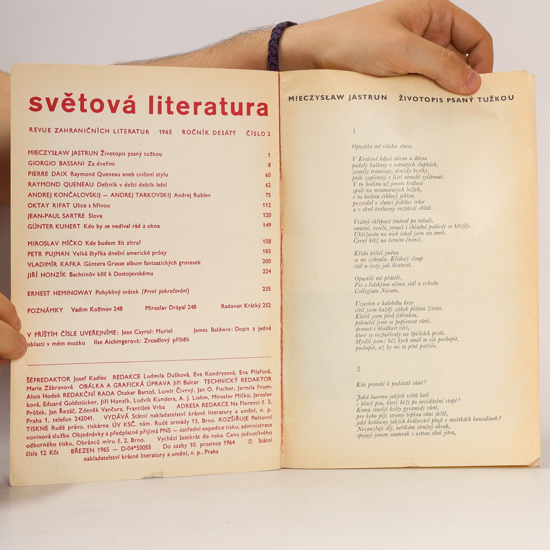 Kolektív autorov Světová literatura 2