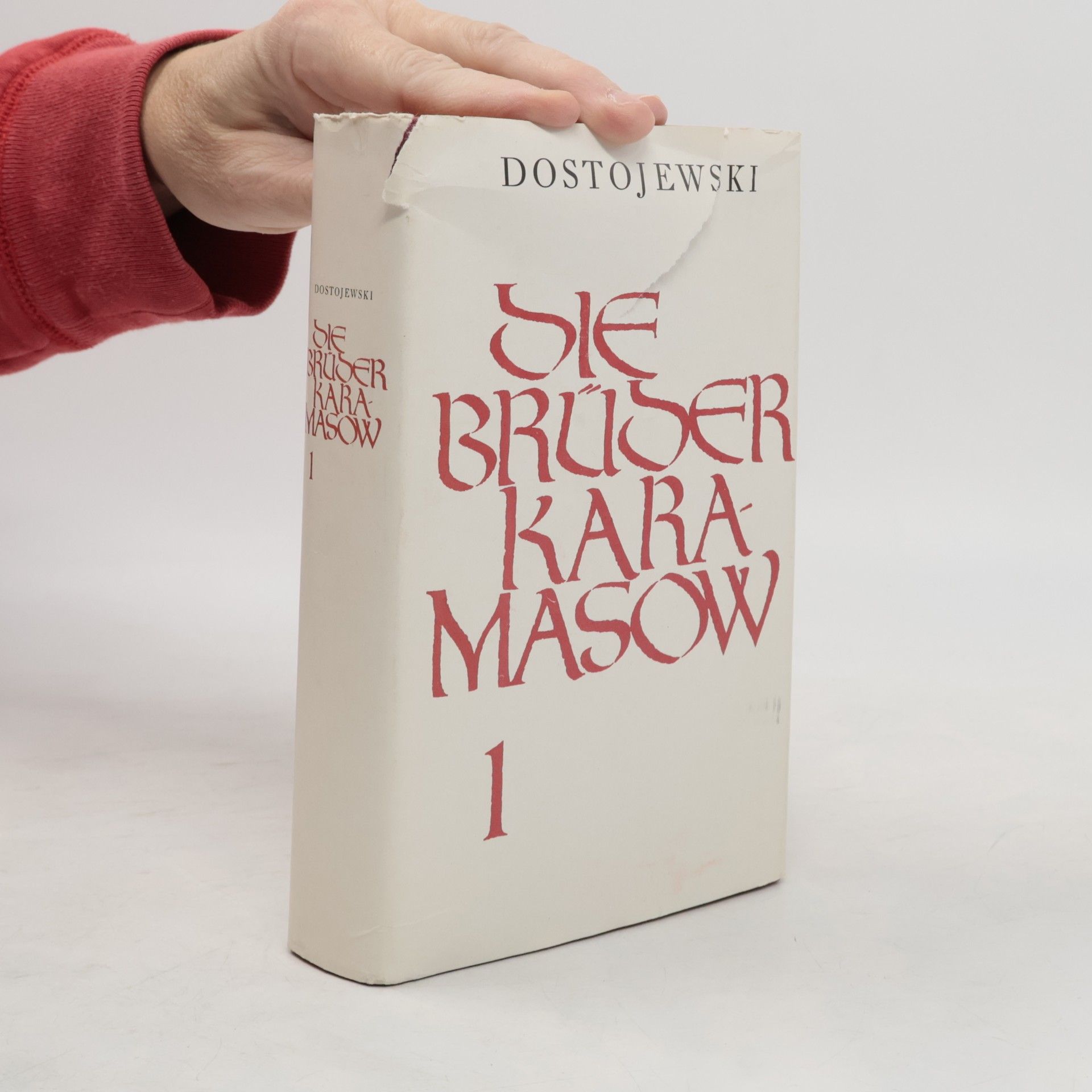 Fjodor Michailowitsch Dostojewski Die Brüder Karamasow 1