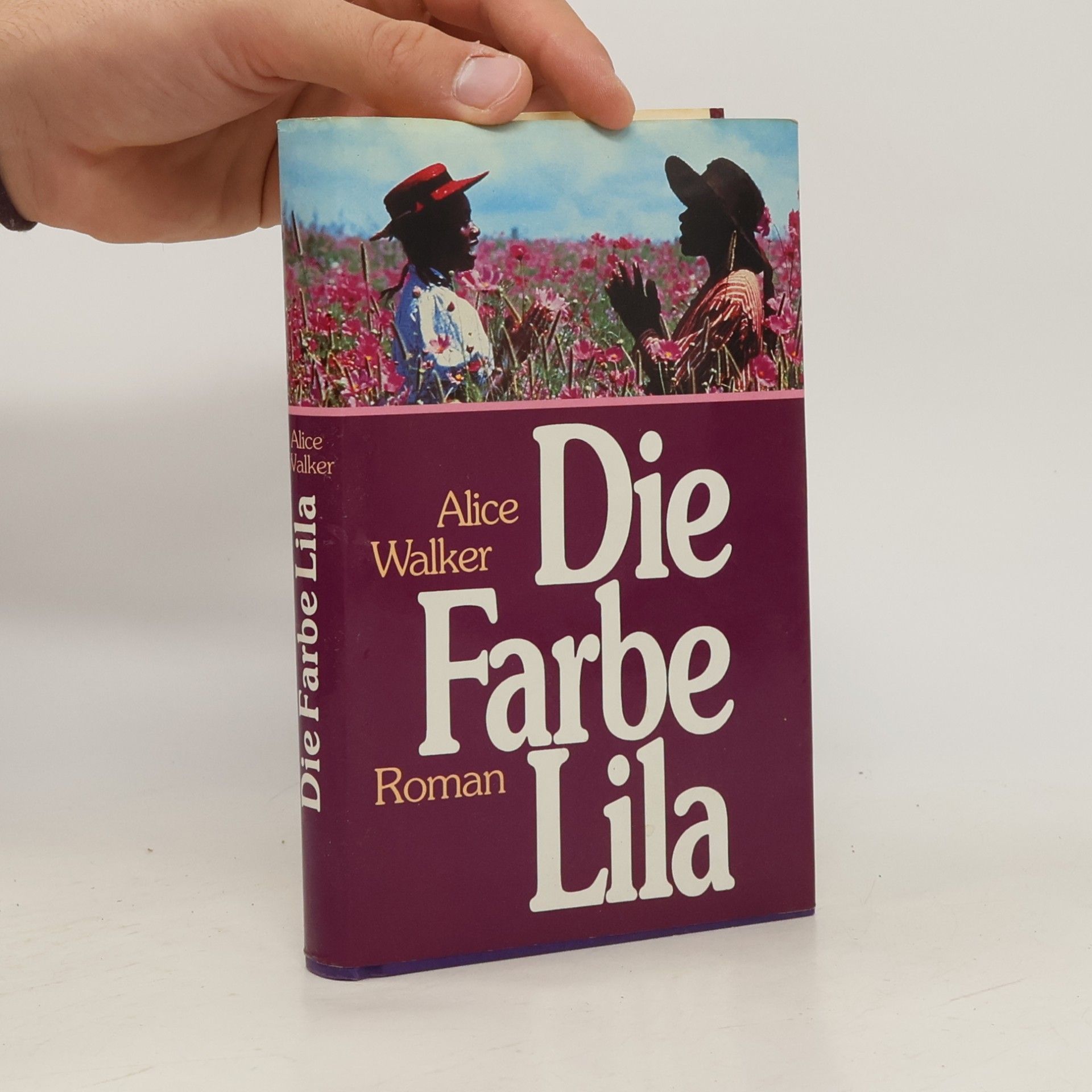 Alice Walker Die Farbe Lila
