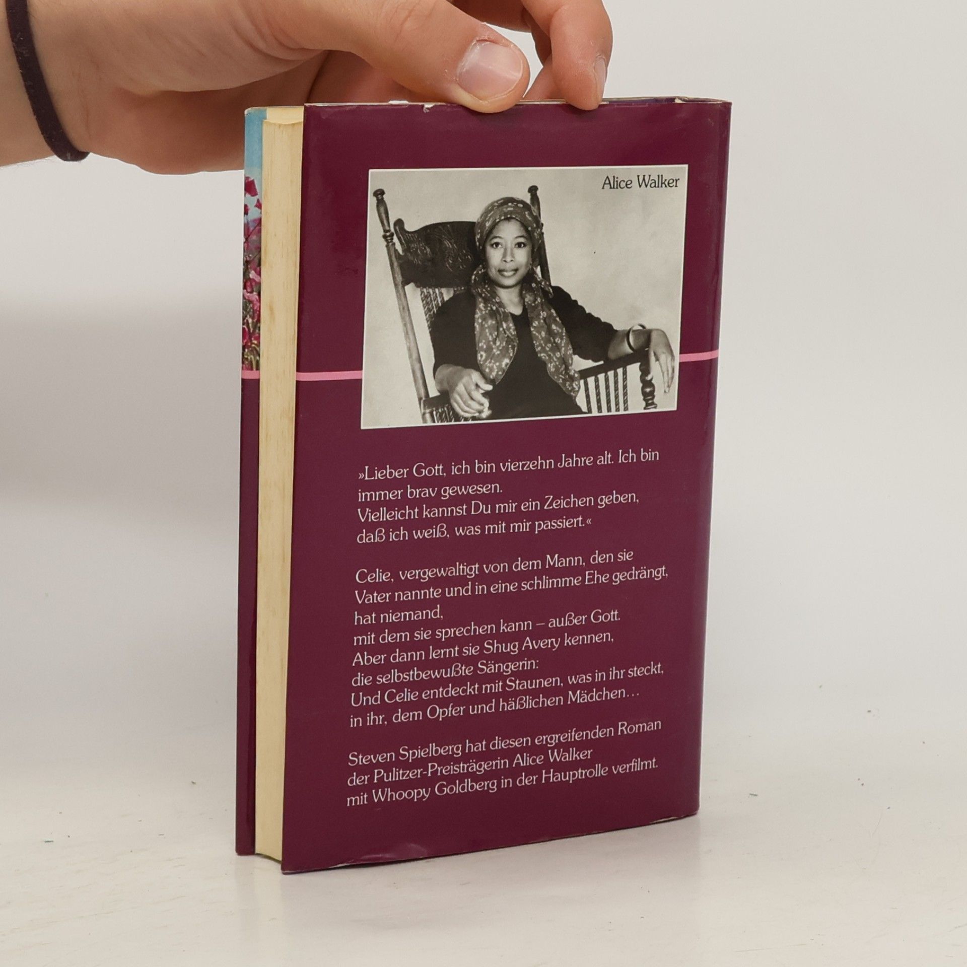Alice Walker Die Farbe Lila