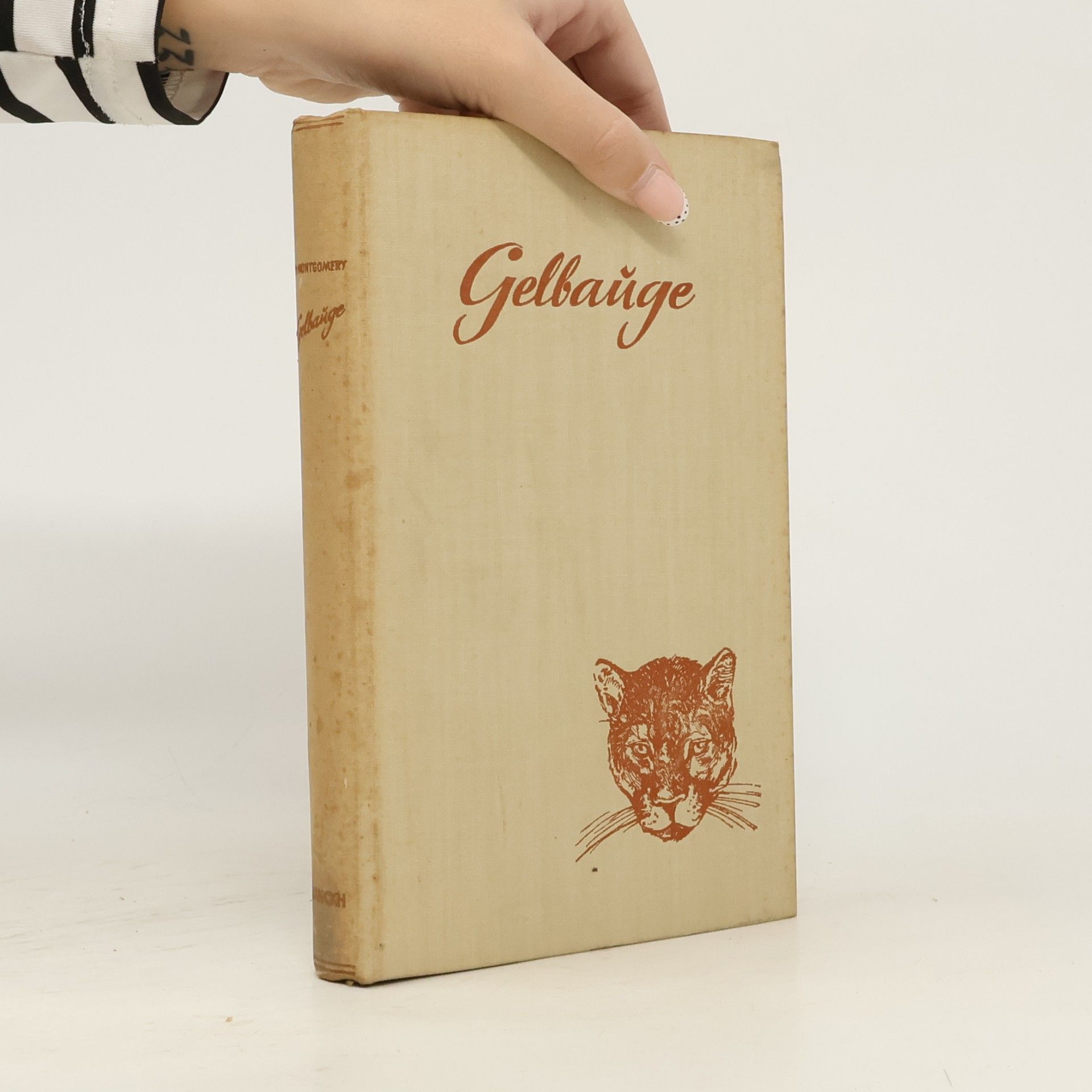kolektiv Gelbauge