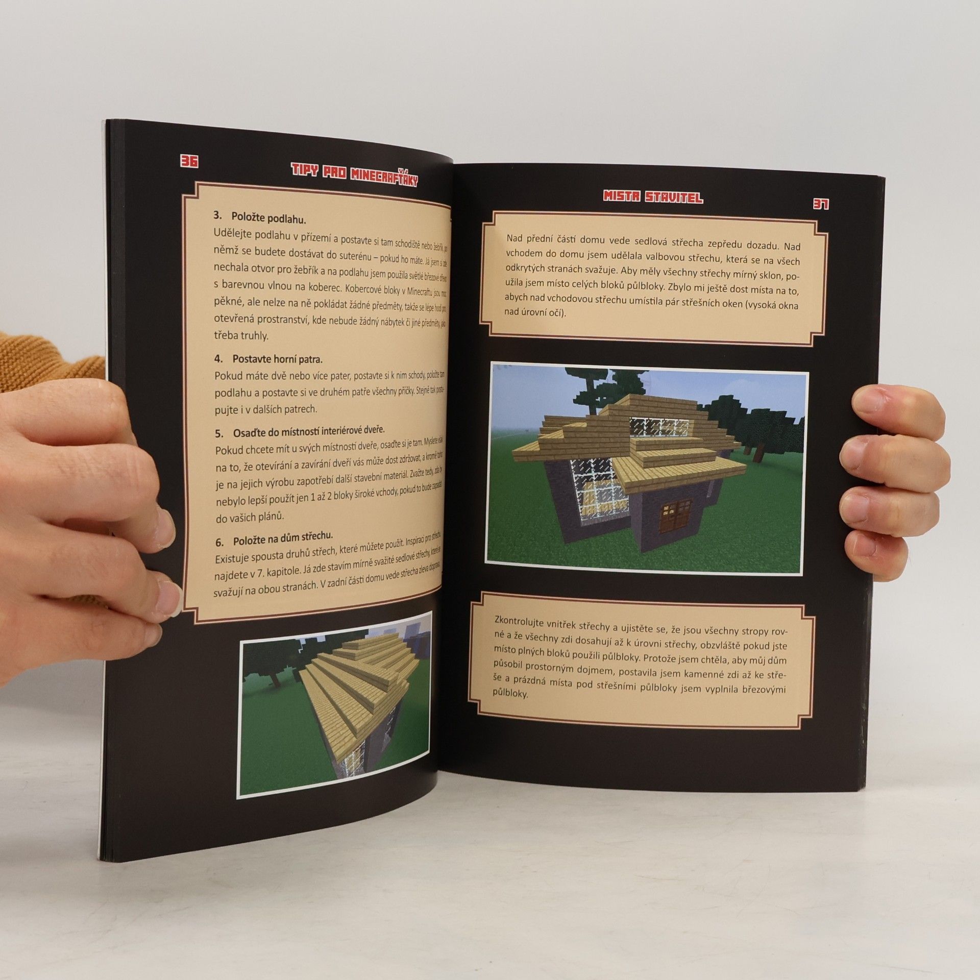 Megan Miller Tajné triky pro Minecrafťáky. Mistr stavitel