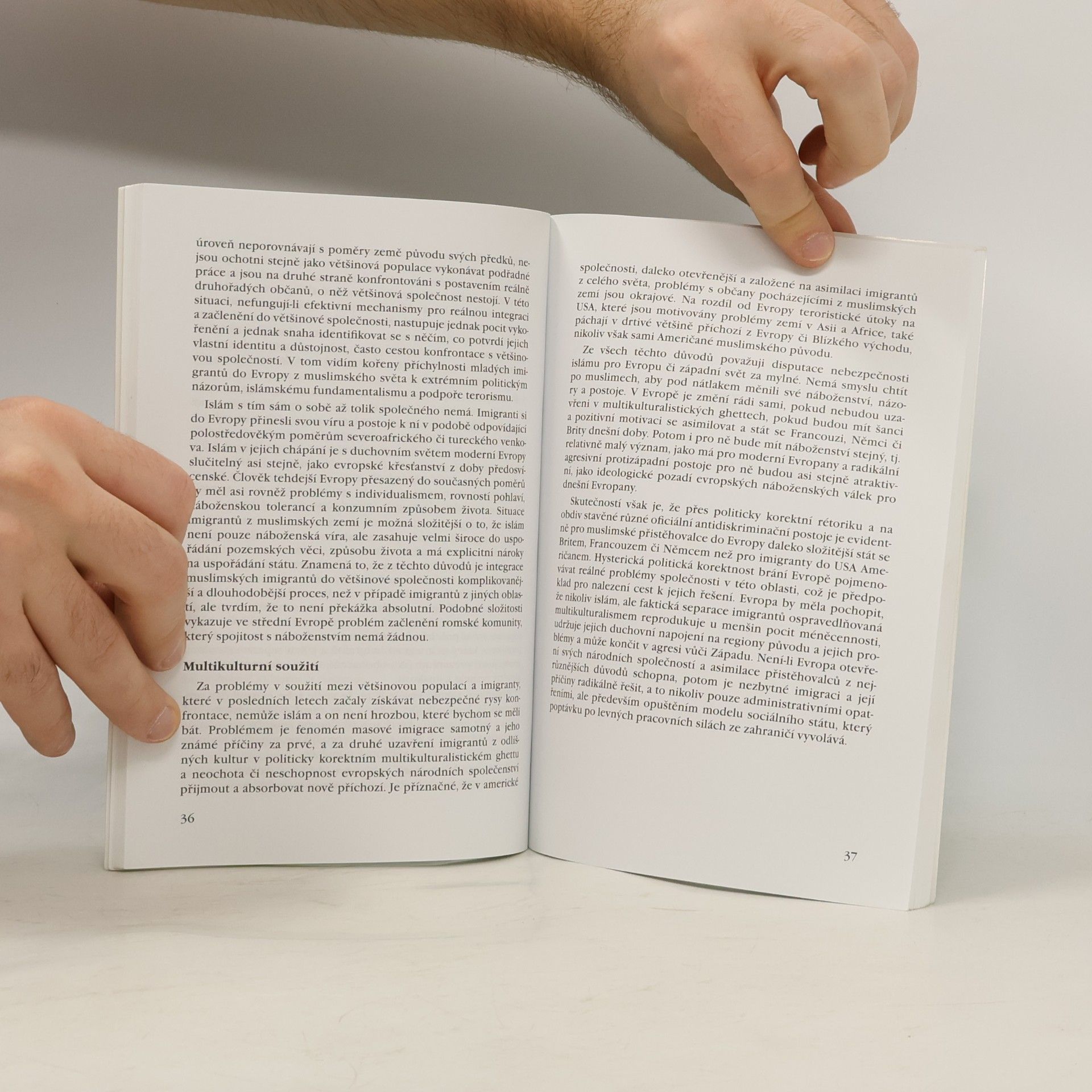 Autorenkollektiv Islám v Evropě. Obohacení, nebo nebezpečí?