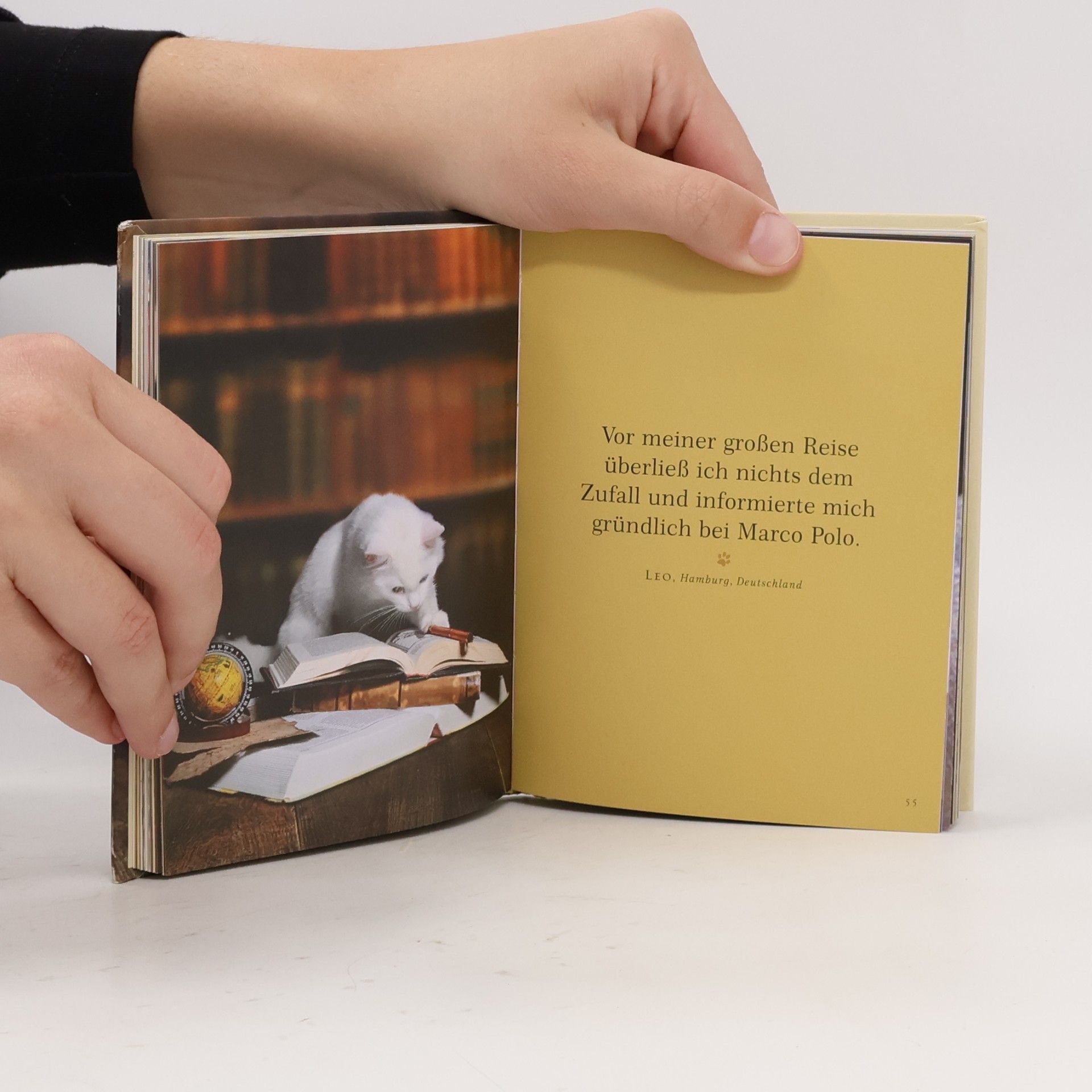 Romy Thiele Lesende Katzen. und ihre Abenteuer in der Welt der Bücher