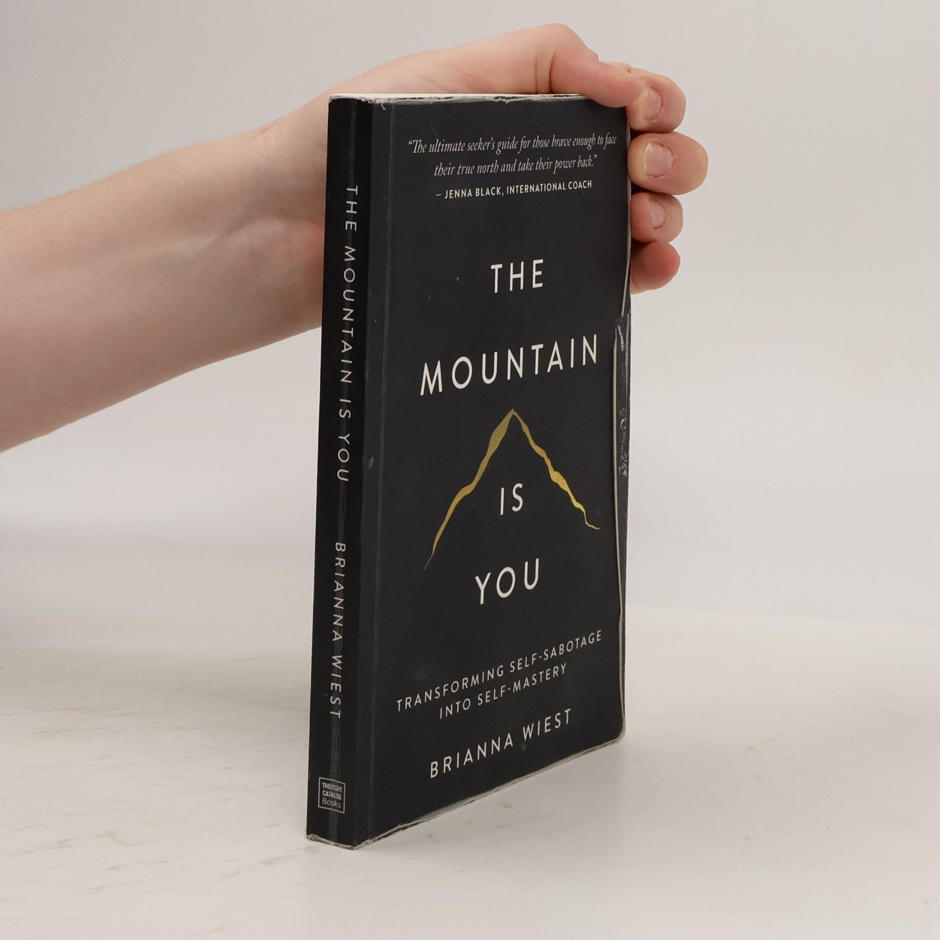 Brianna Wiest The Mountain Is You