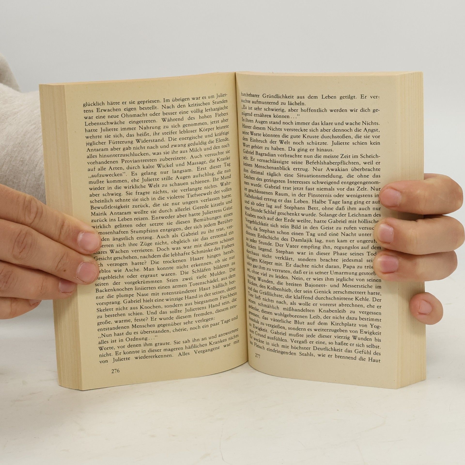 Franz Werfel Die vierzig Tage des Musa Dagh 2