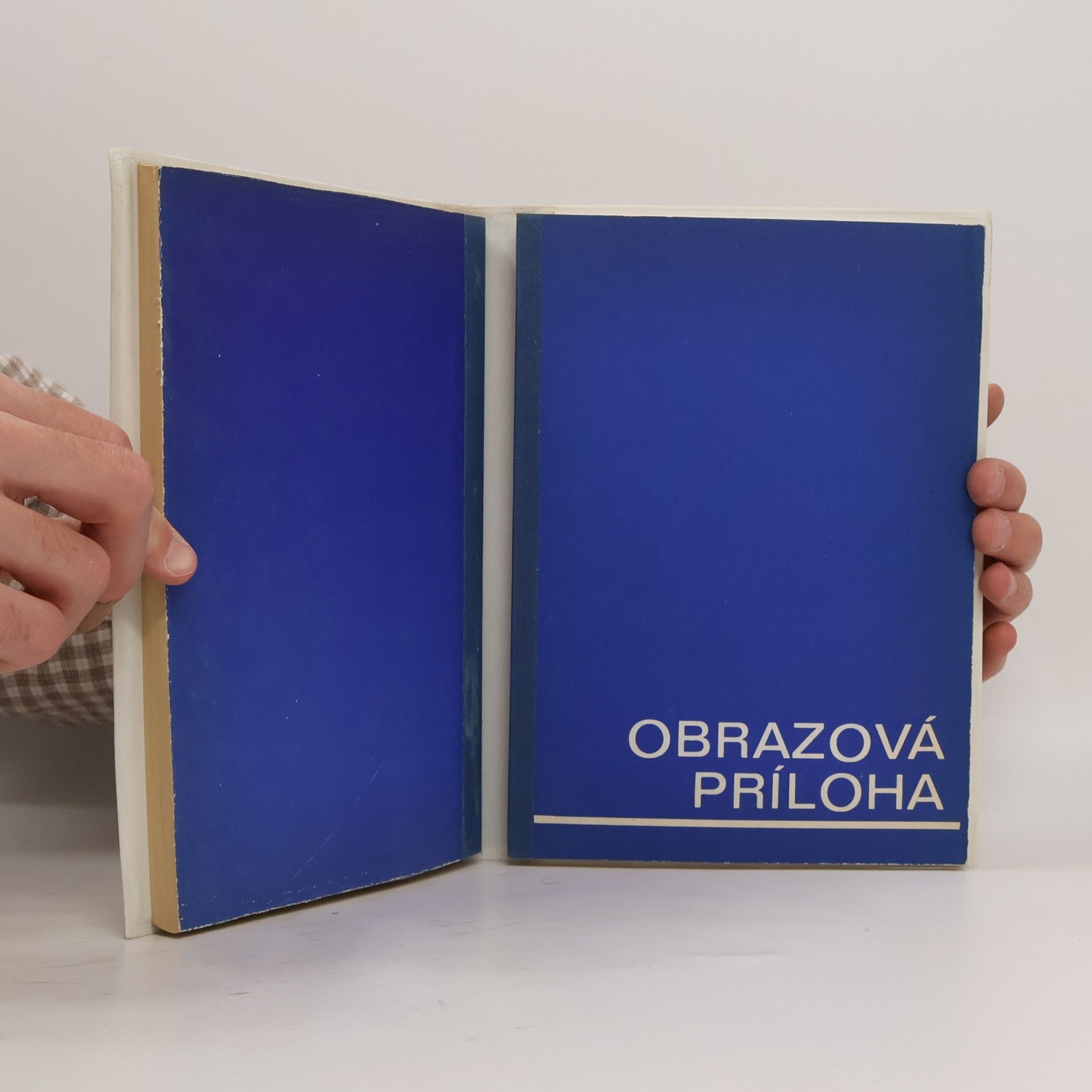 Karel Křen Moderný automobil v obrazoch