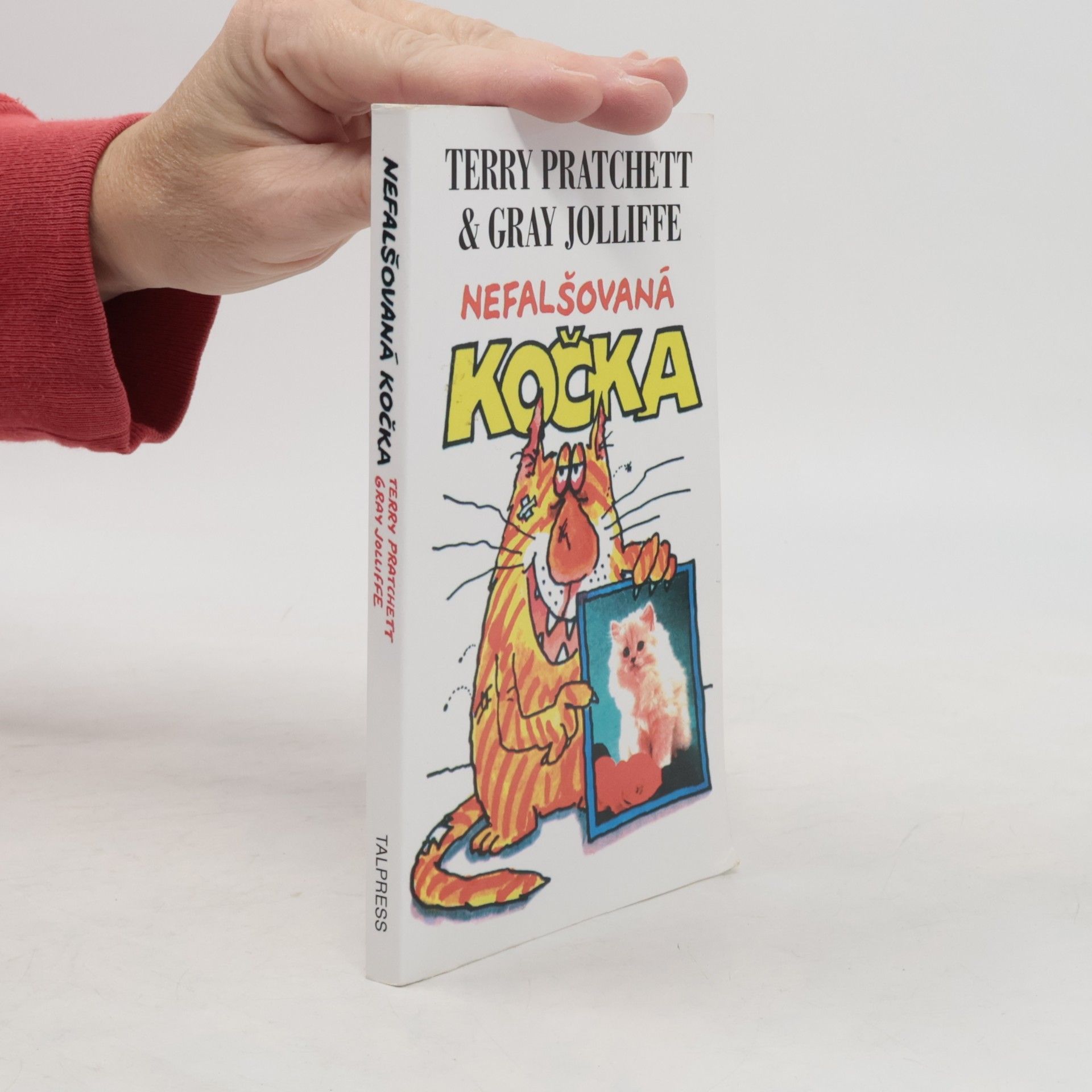 Terry Pratchett Nefalšovaná kočka