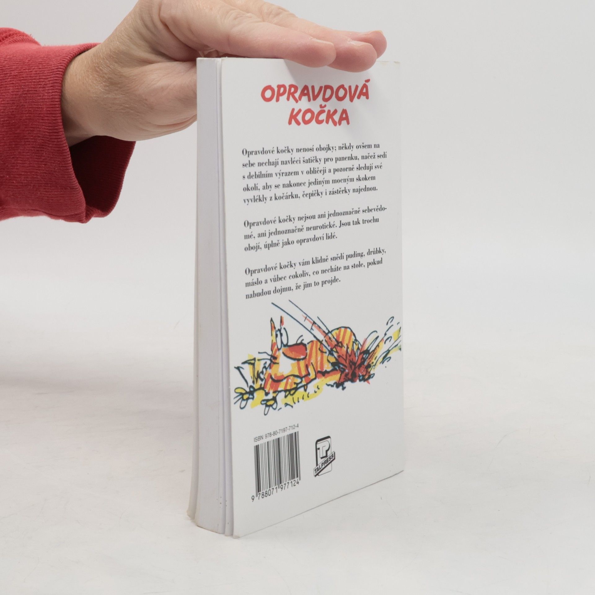 Terry Pratchett Nefalšovaná kočka