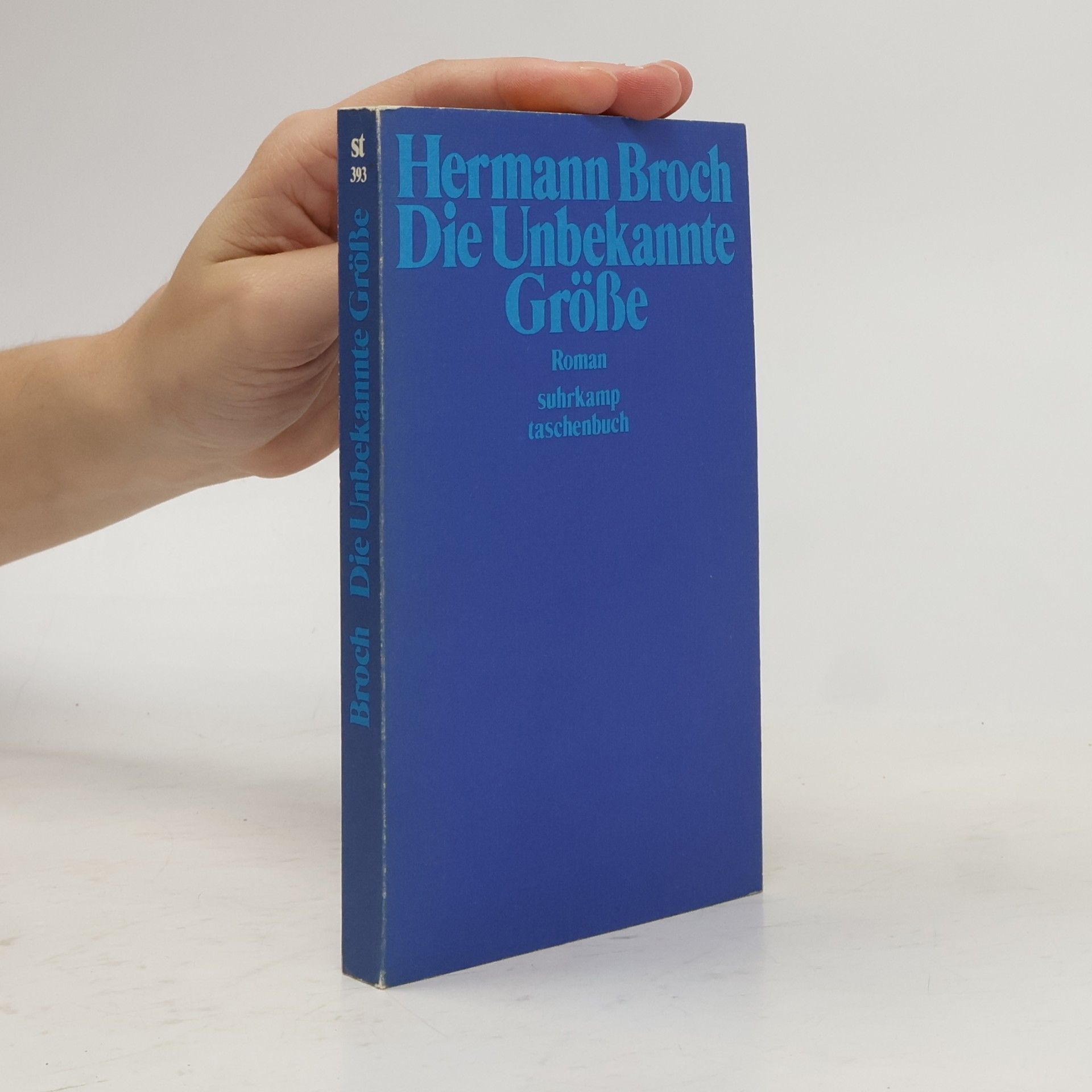 Hermann Broch Die unbekannte Grösse