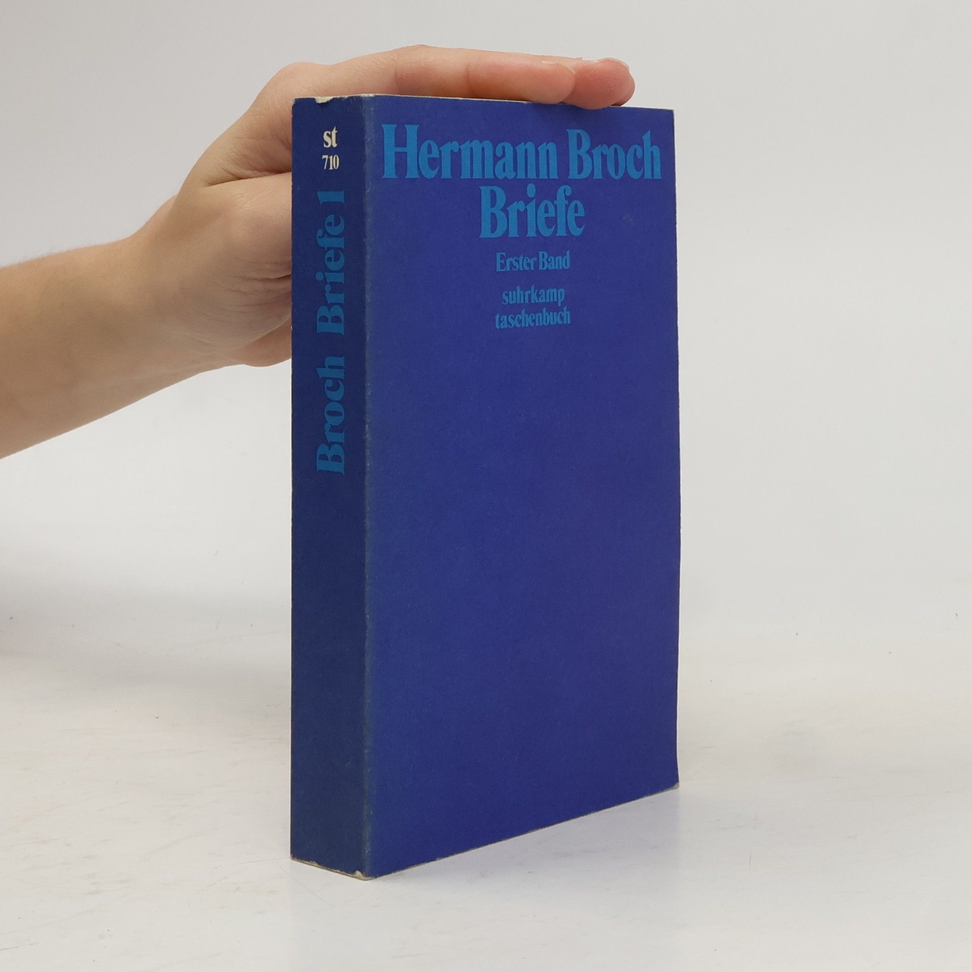 Paul Michael Lützeler Briefe : Dokumente und Kommentare zu Leben und Werk