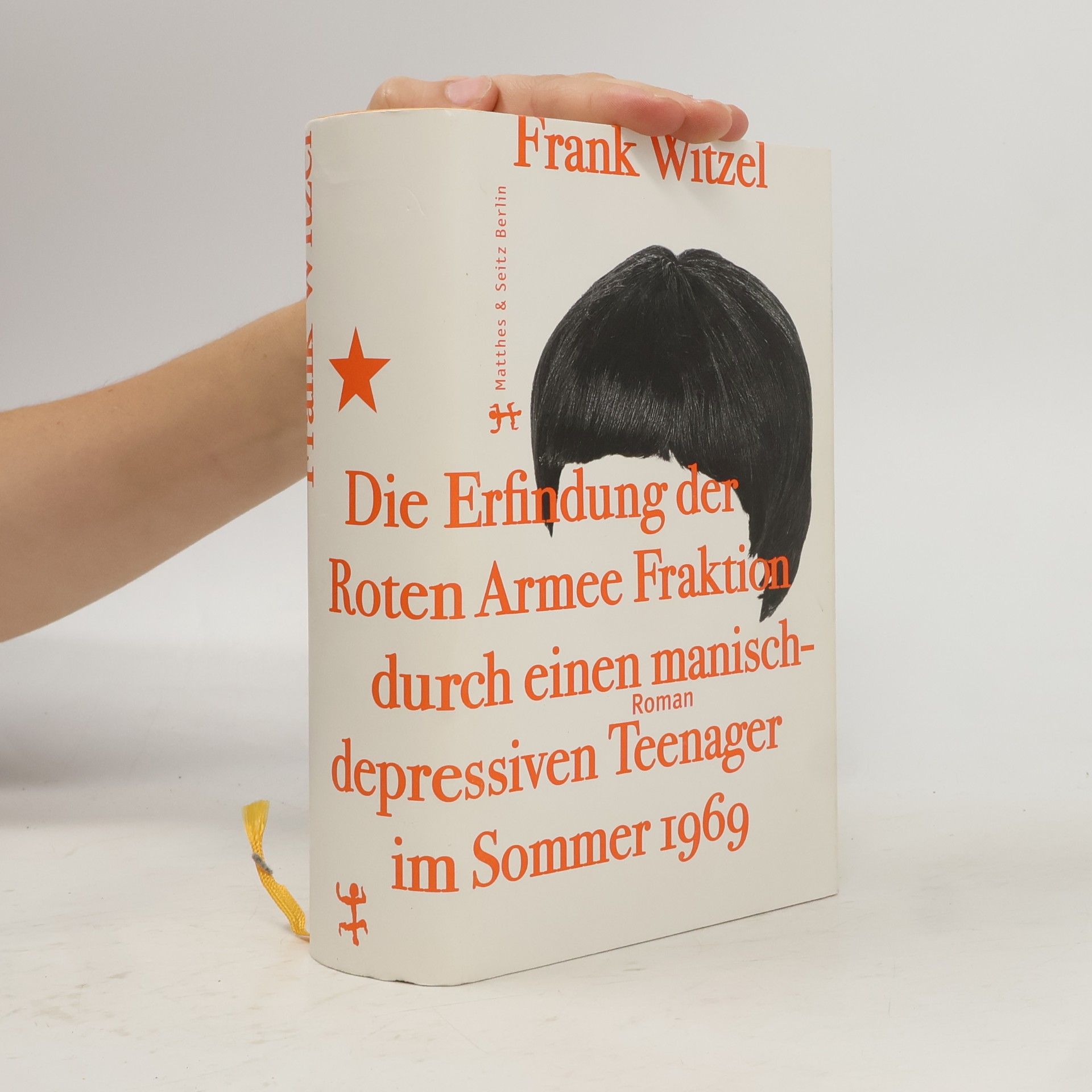 Frank Witzel Die Erfindung der Roten Armee Fraktion durch einen manisch-depressiven Teenager im Sommer 1969