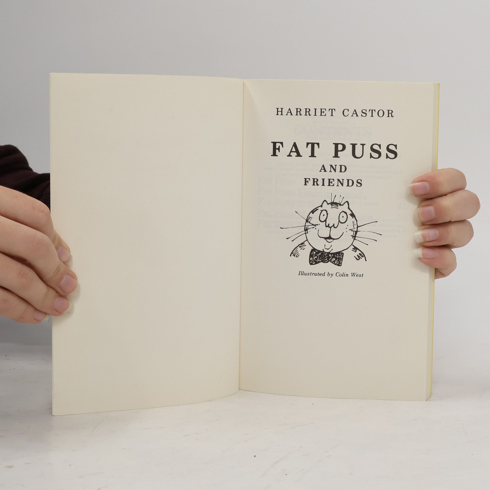 Harriet Castor Fat puss and friends