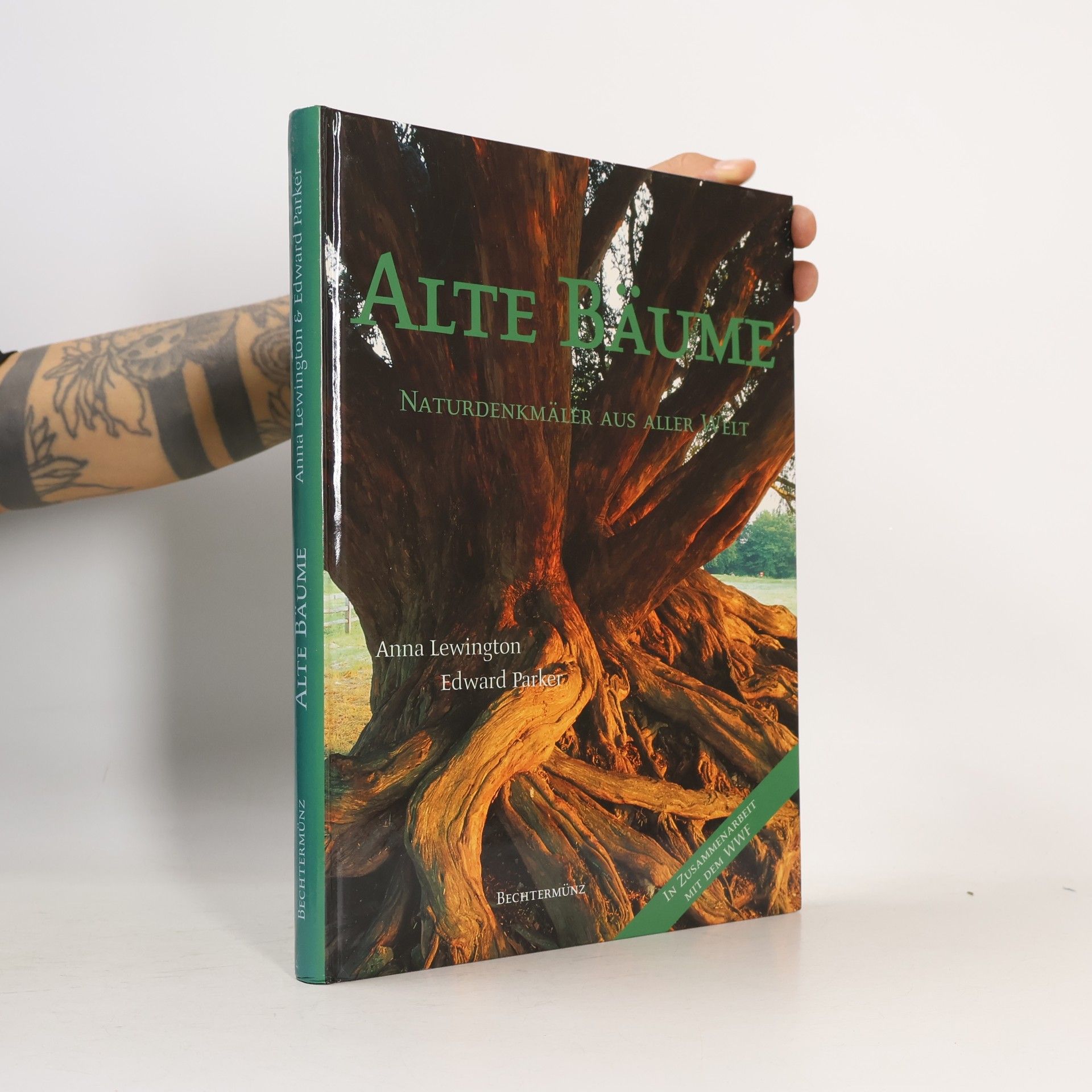 Anna Lewington Alte Bäume