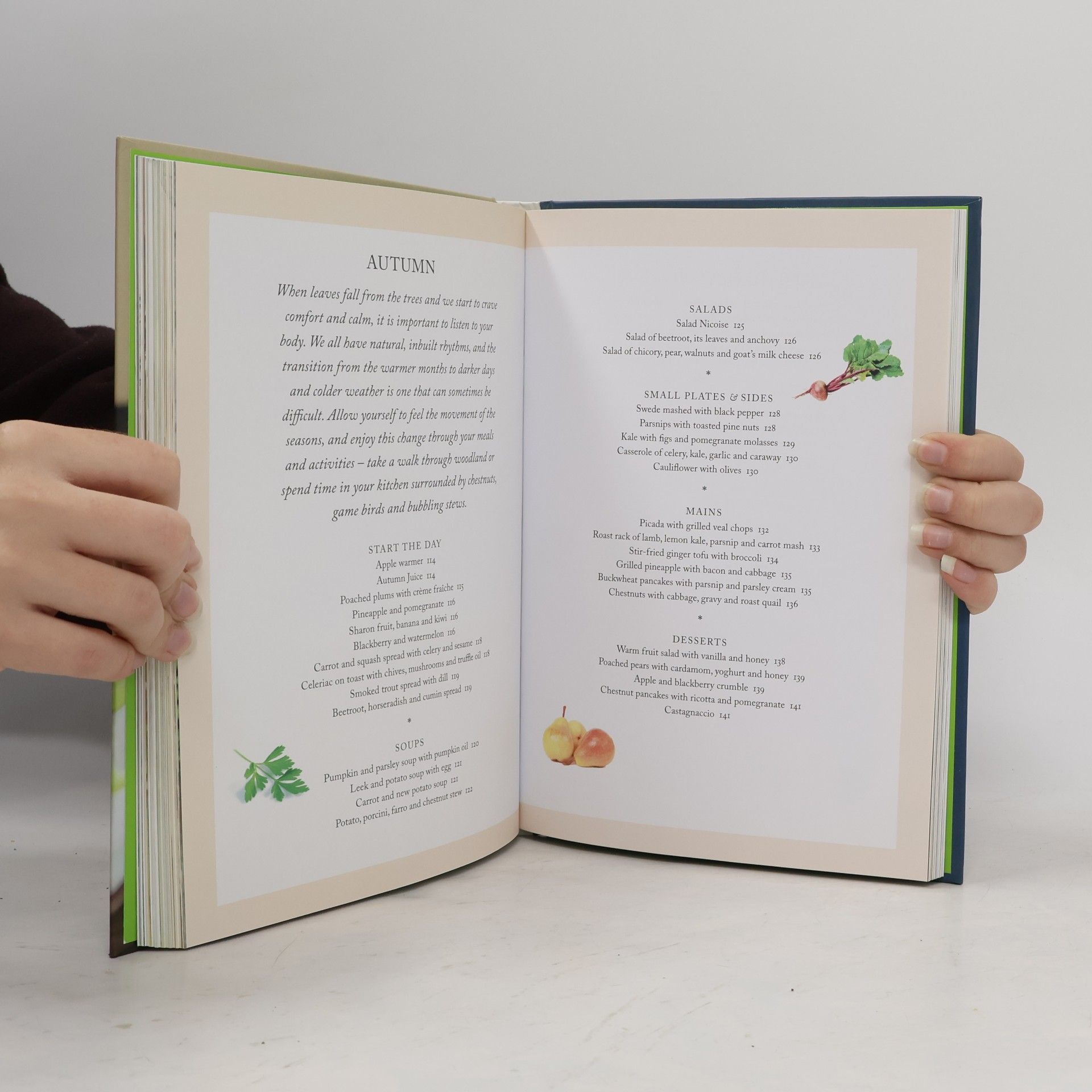 Stephan Domenig The Alkaline Cookbook