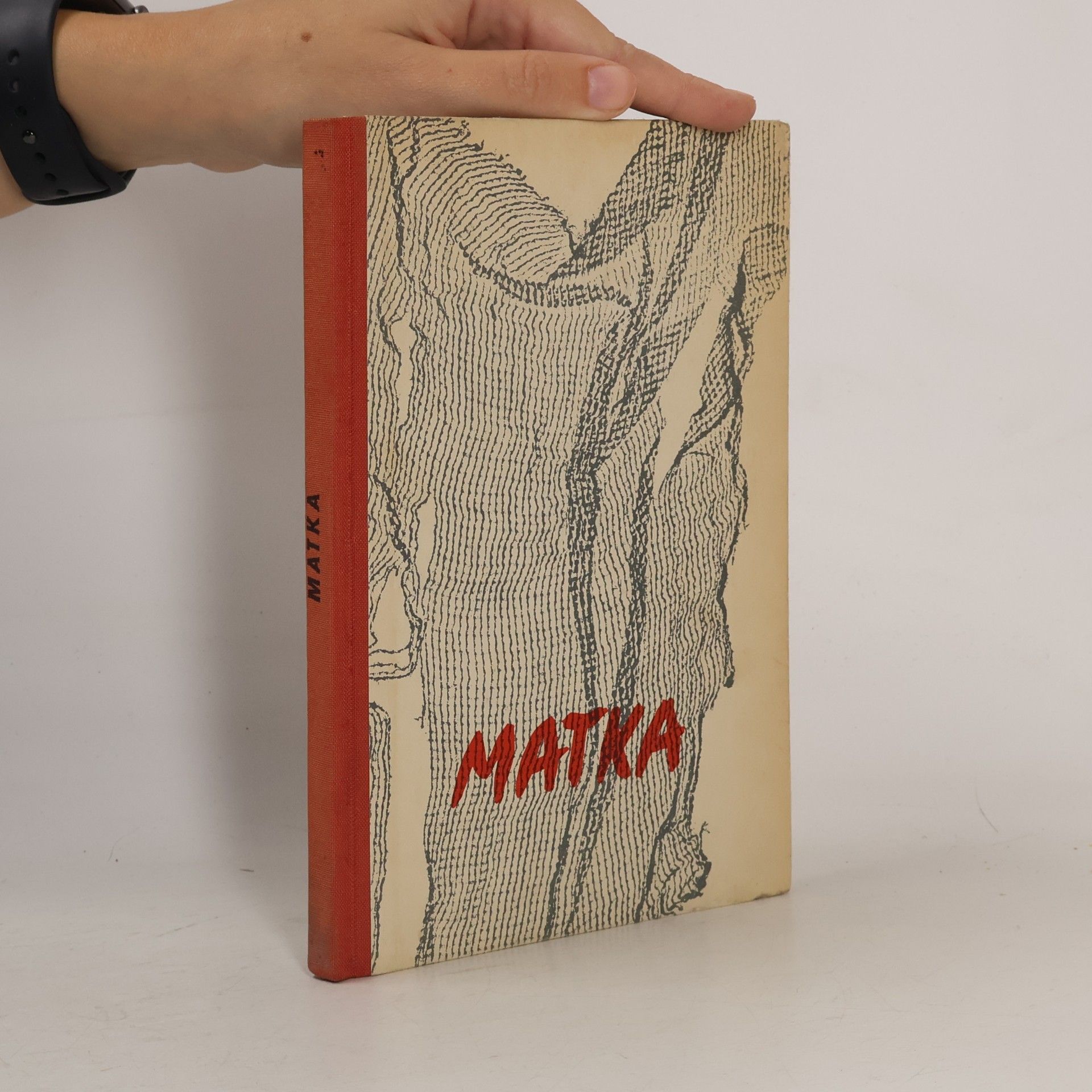 Karel Čapek Matka