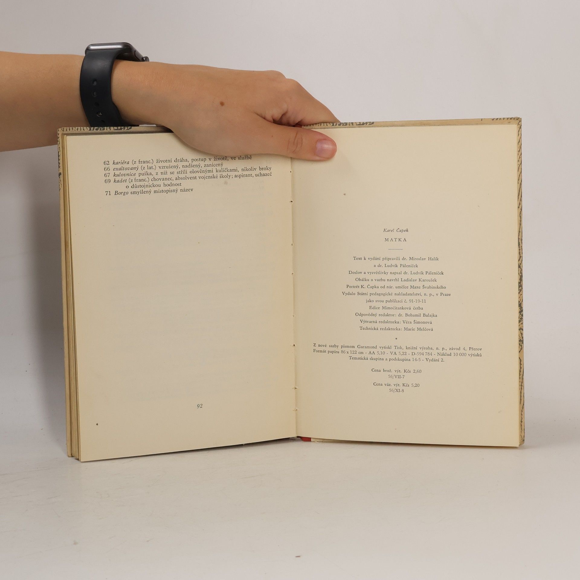 Karel Čapek Matka