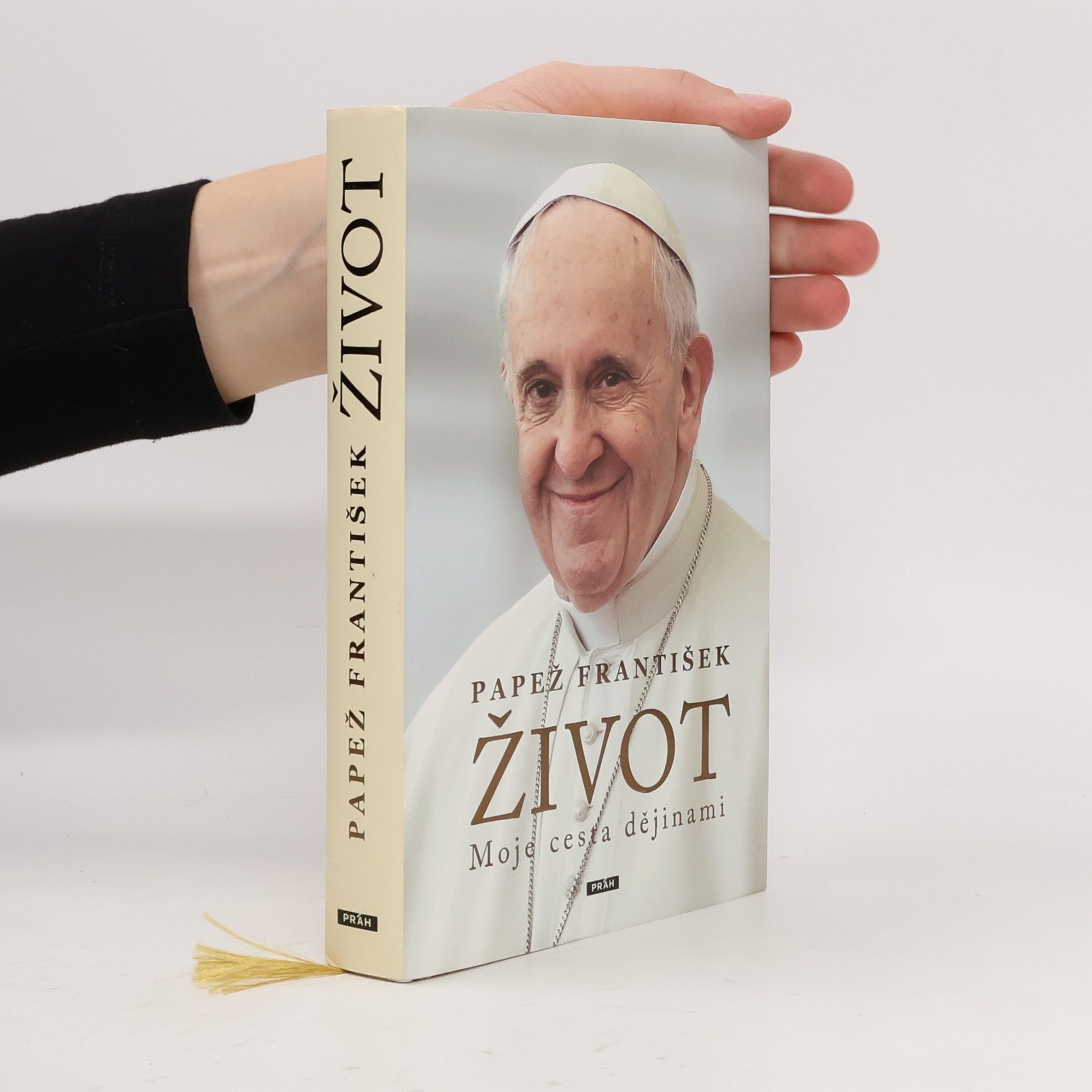 Pope Francis Život. Moje cesta dějinami