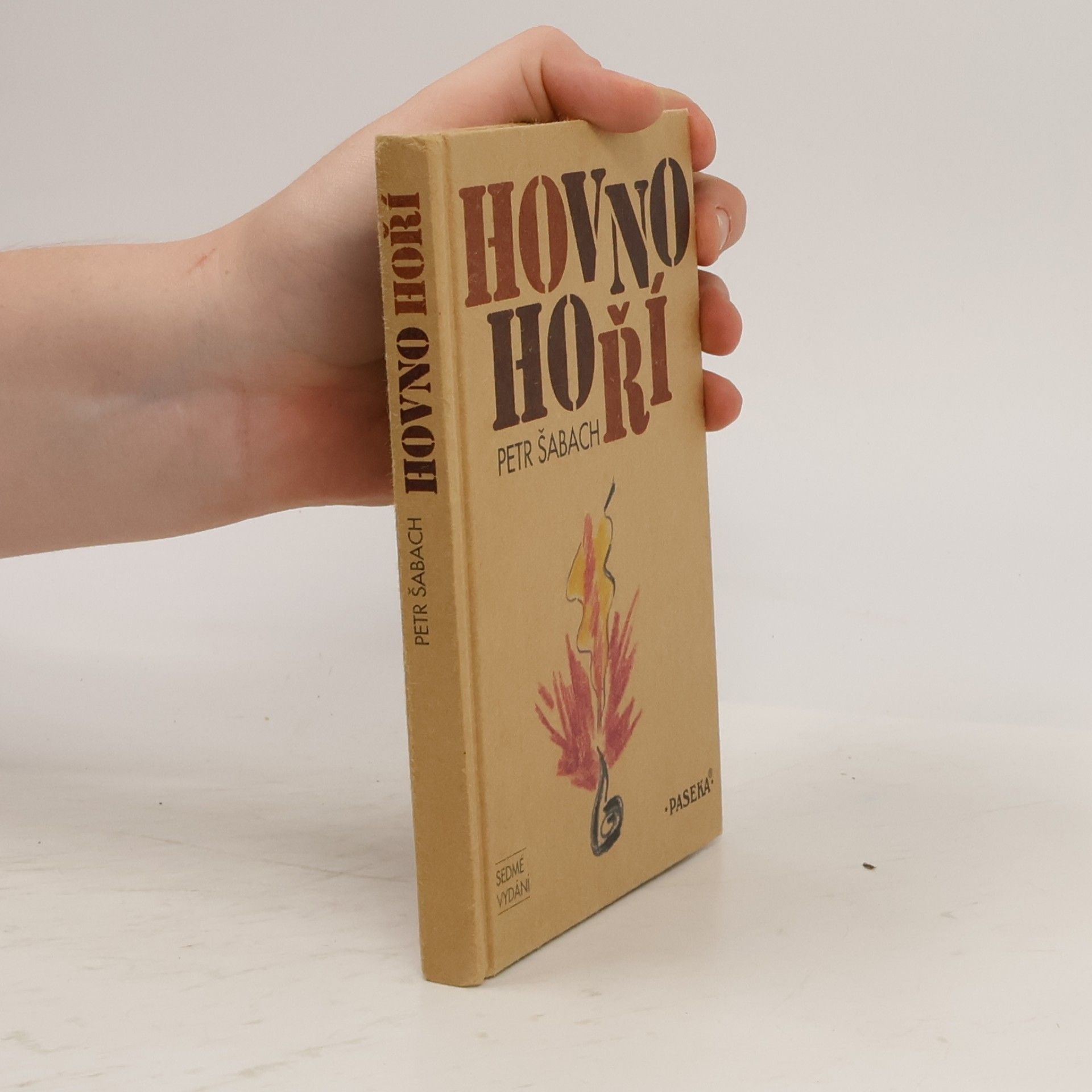 Petr Šabach Hovno hoří