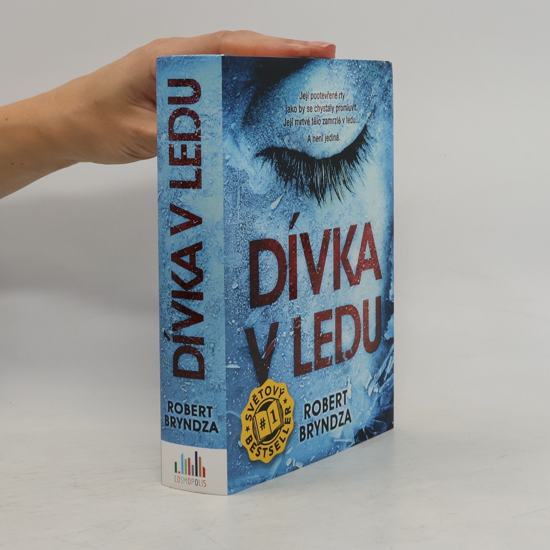 Dívka v ledu