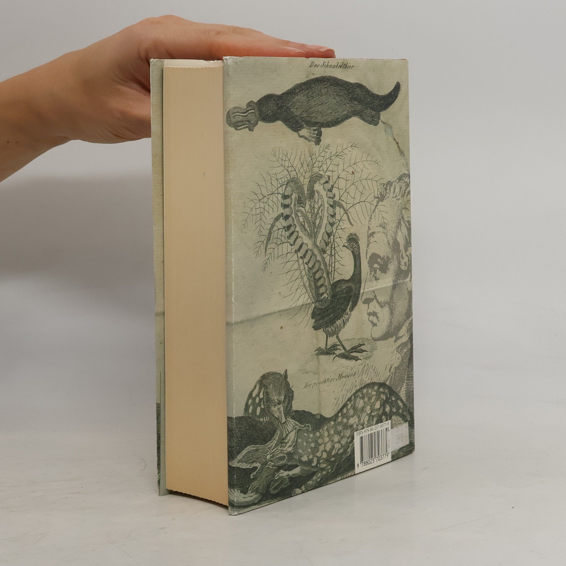 Umberto Eco Kant a ptakopysk
