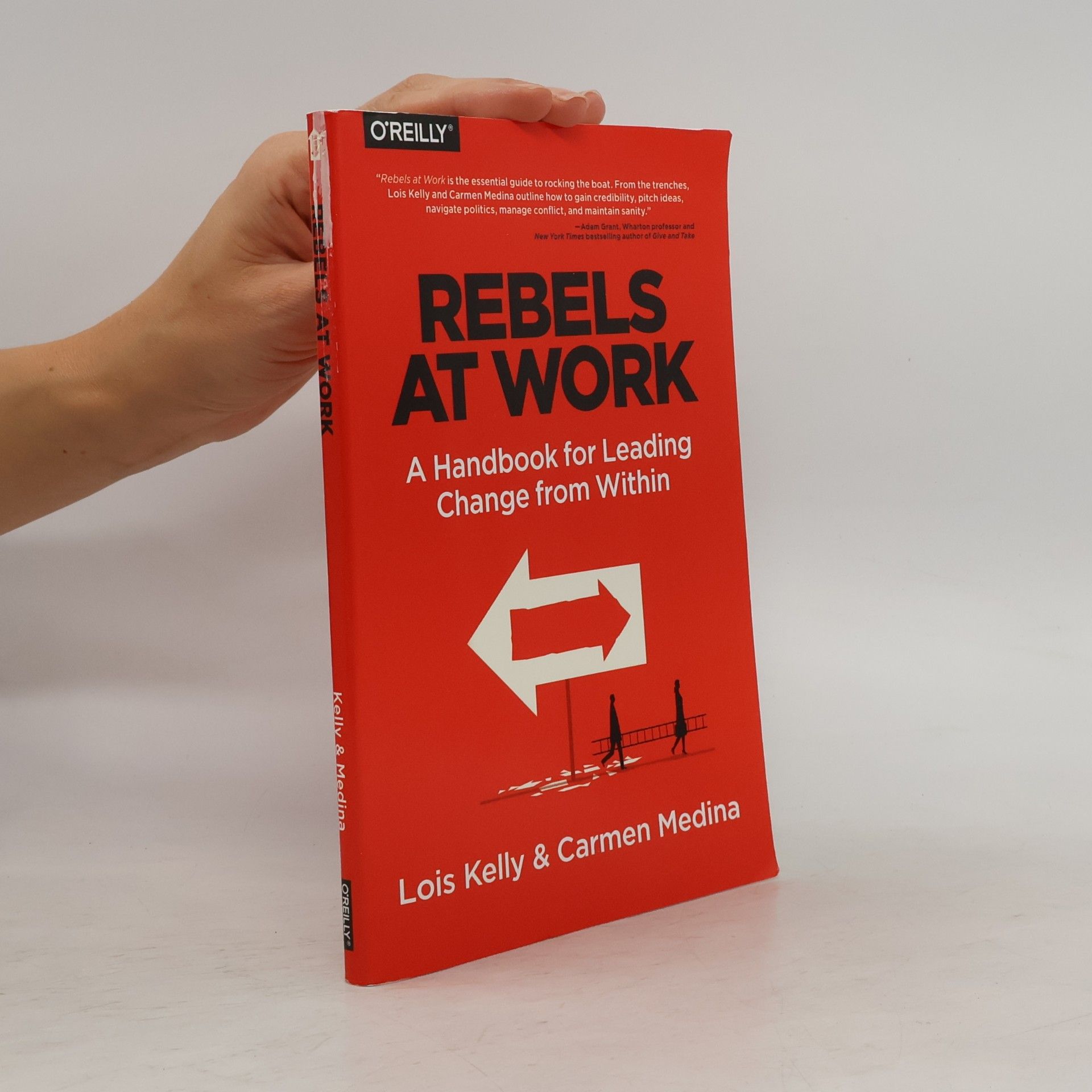 Di Stead Rebels at Work