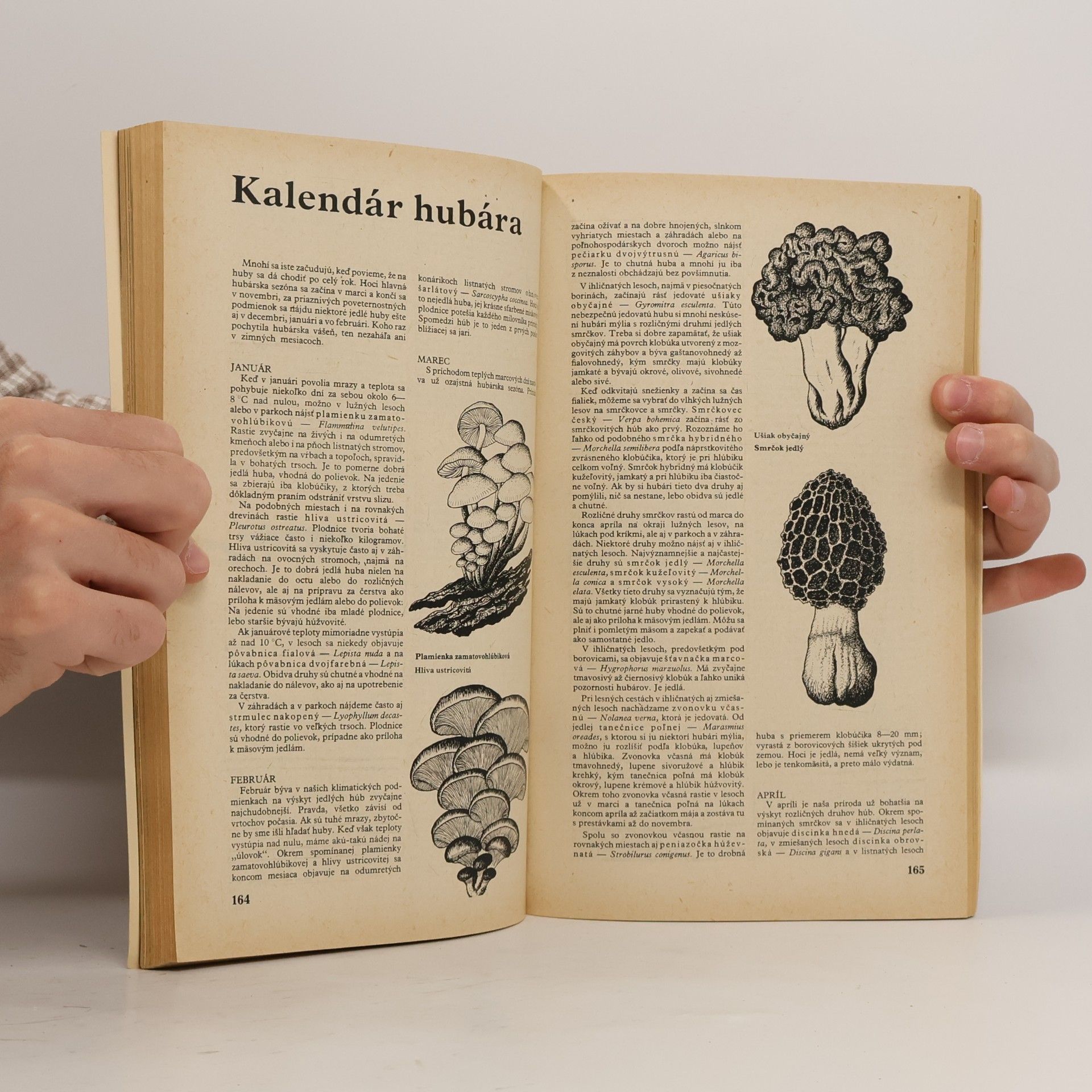 Autorenkollektiv Domová pokladnica 1978