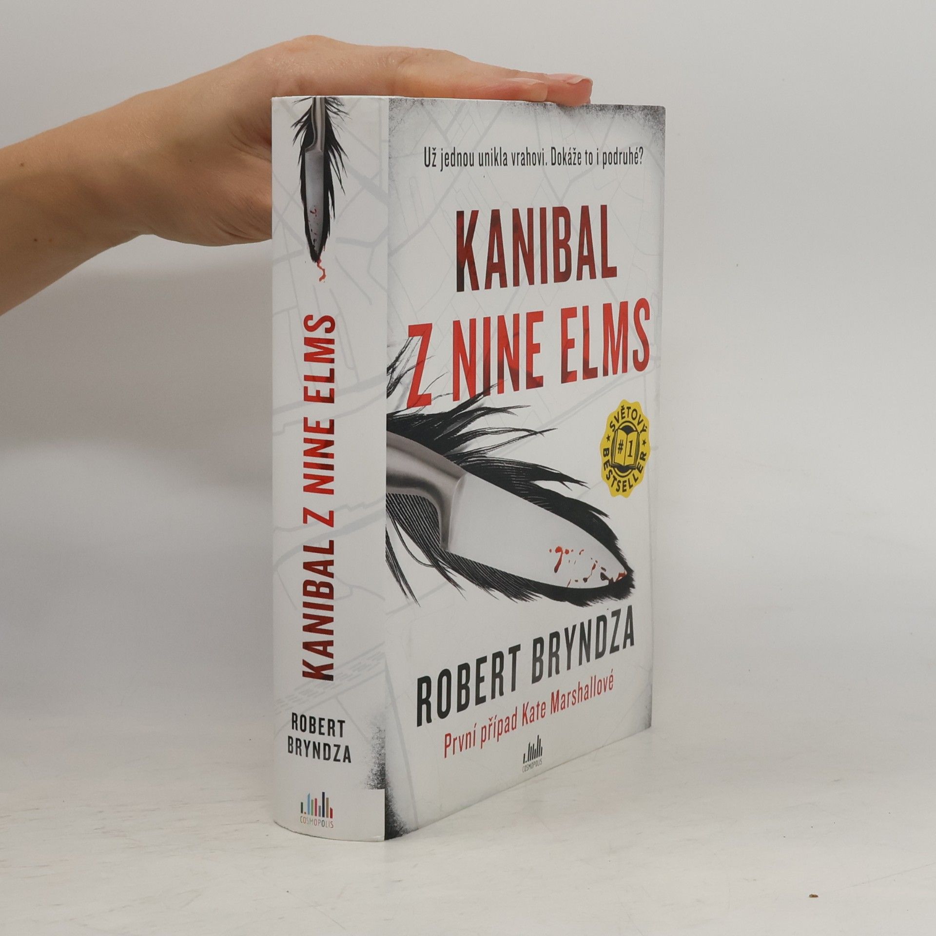 Robert Bryndza Kanibal z Nine Elms