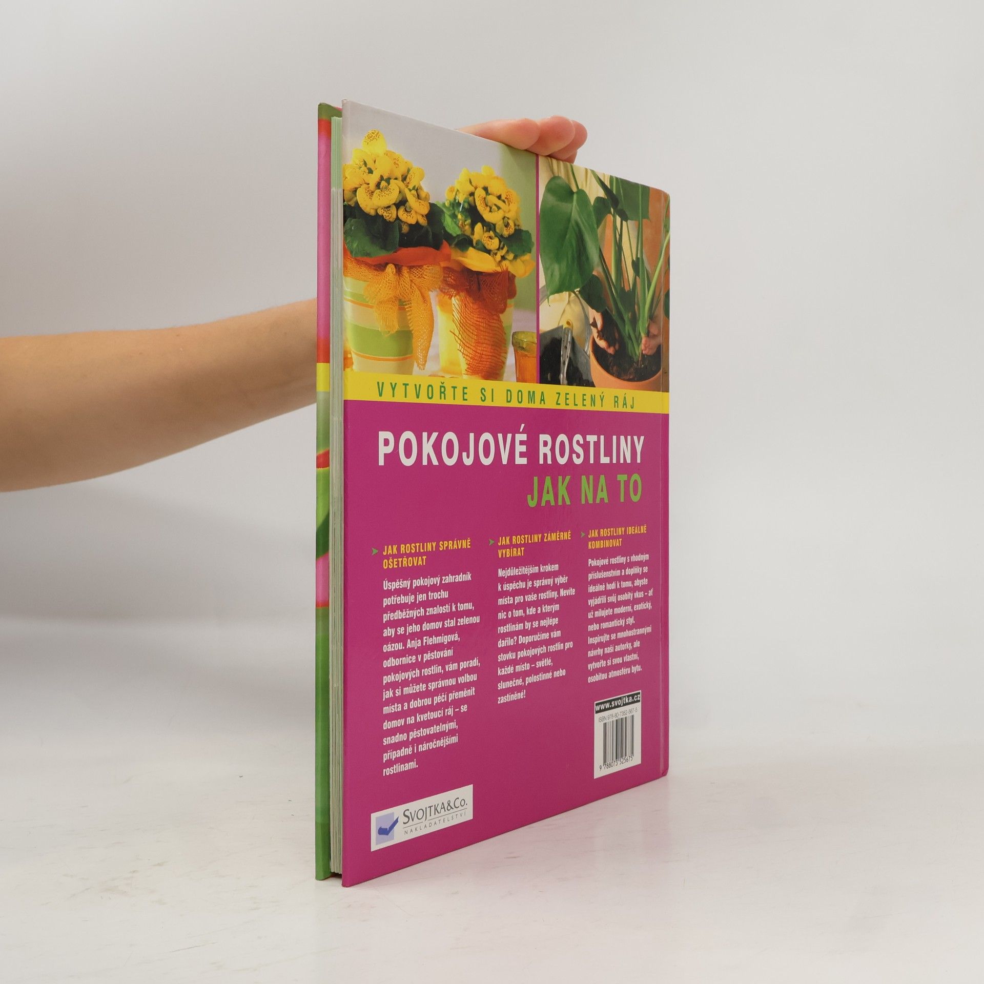 Anja Flehmig Pokojové rostliny: Krok za krokem k zelenému ráji