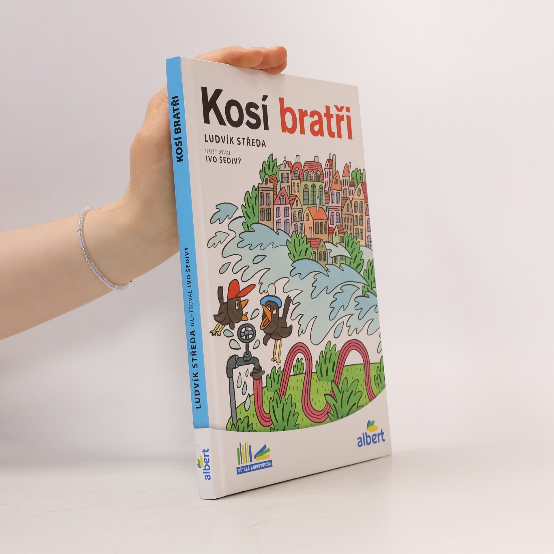 Kosí bratři