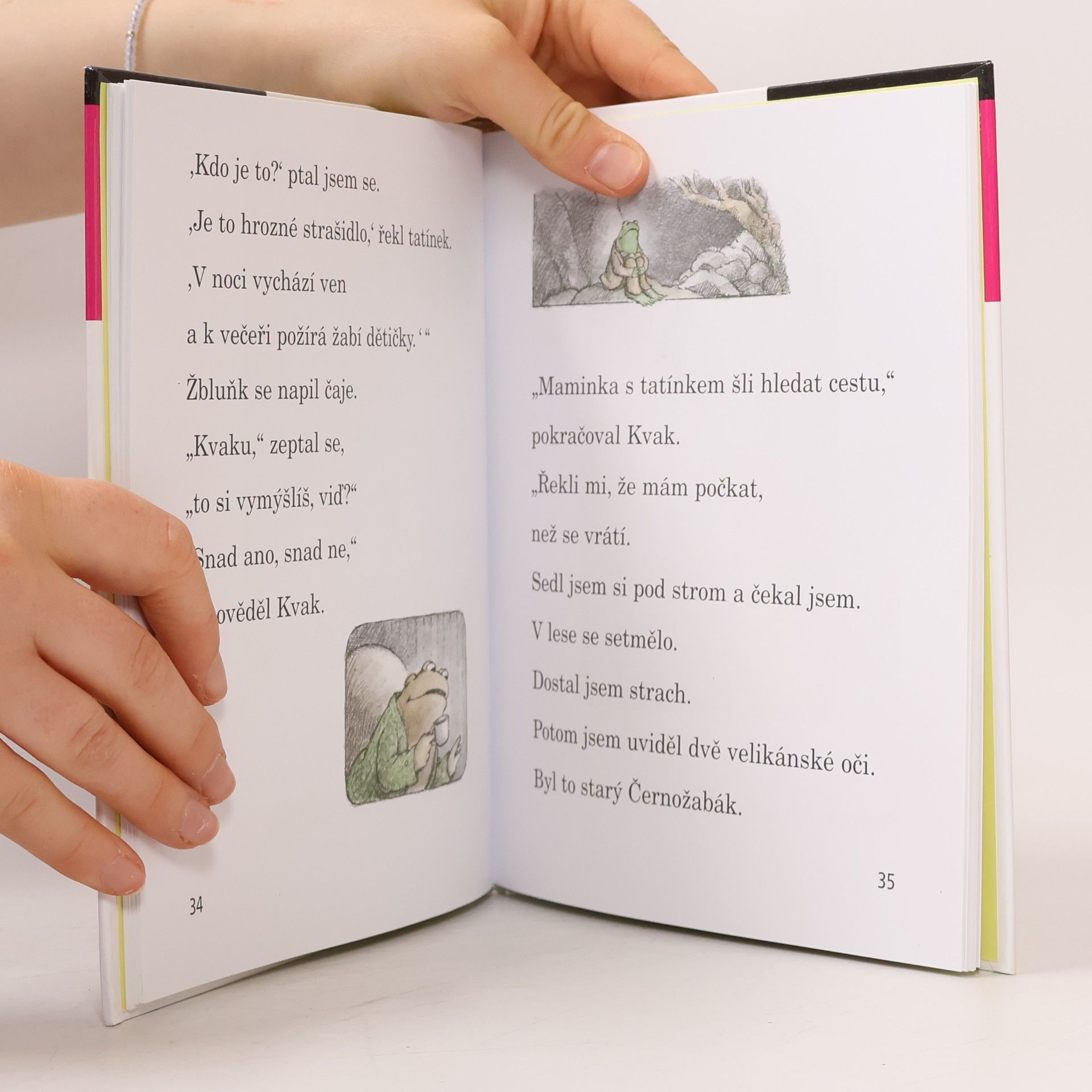 Arnold Lobel Kvak a Žbluňk se bojí rádi