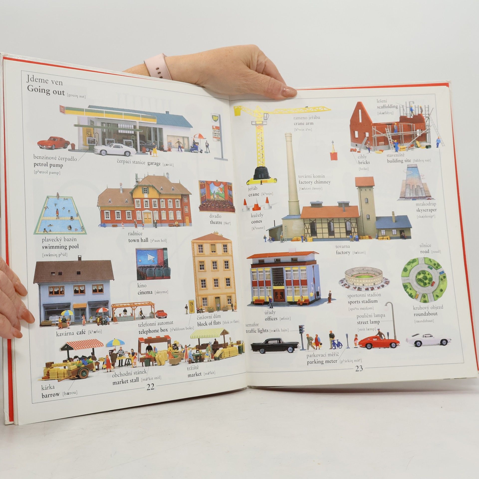 Angela Wilkes Můj první slovník. My First Word Book