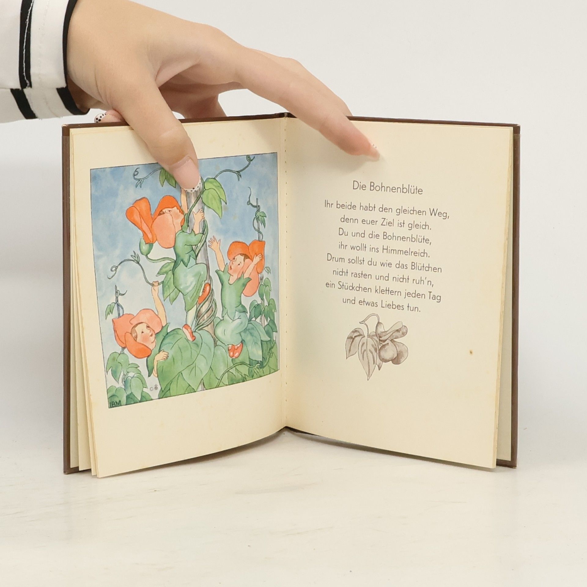 Ida Bohatta-Morpurgo Der Blumenstrauss