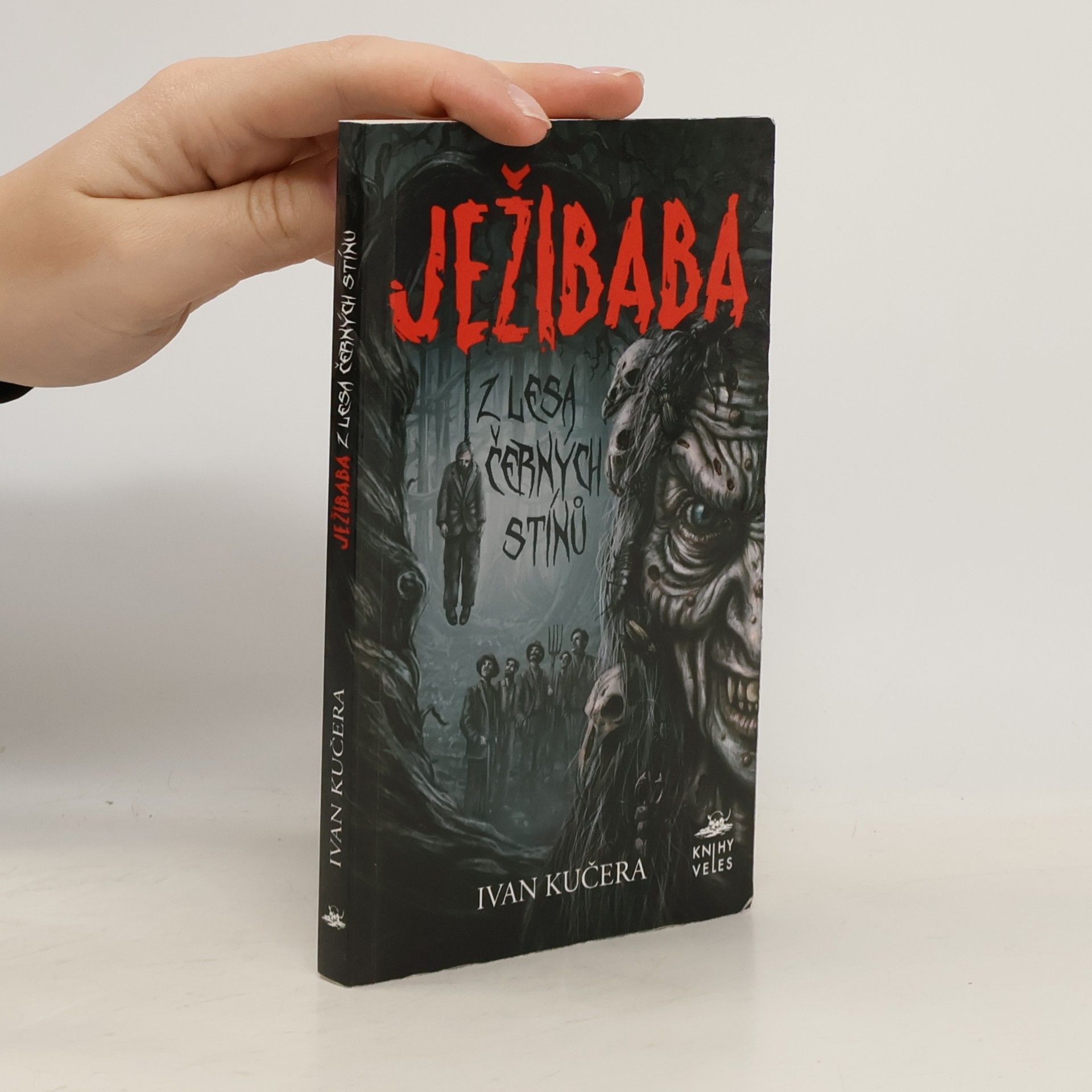 Ivan Kučera Ježibaba z Lesa černých stínů