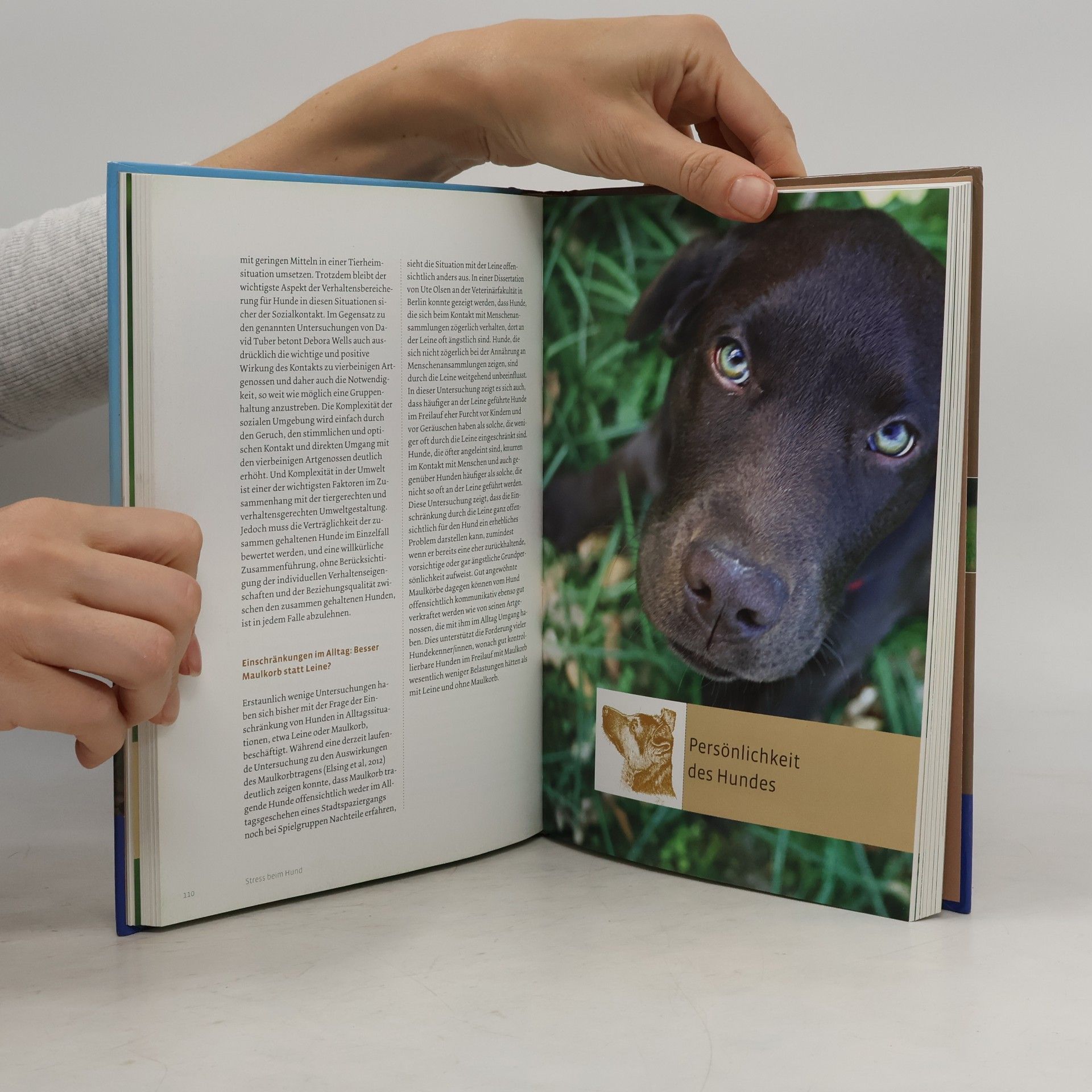 Udo Gansloßer Forschung trifft auf Hund