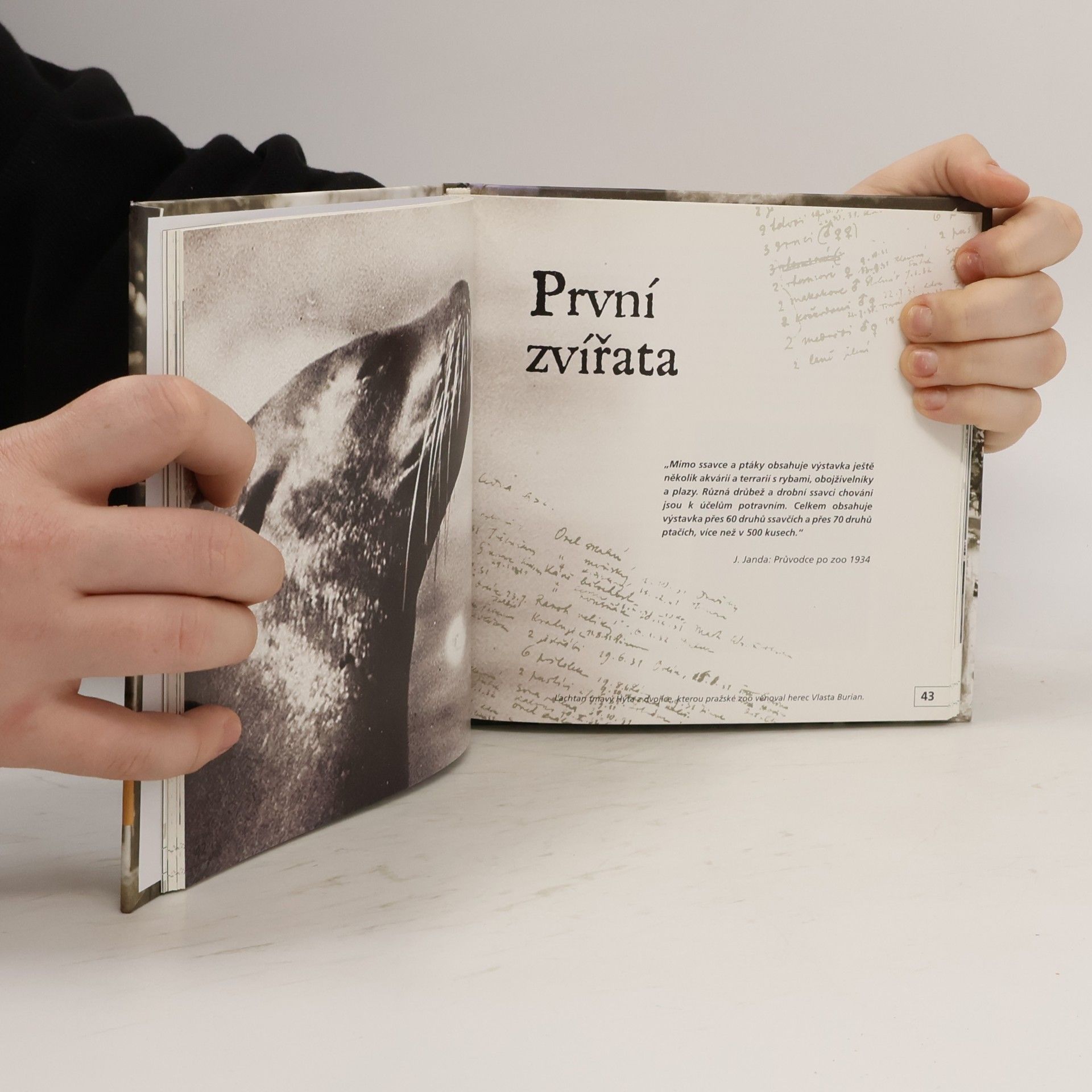 Romana Anděrová Historie Zoo Praha