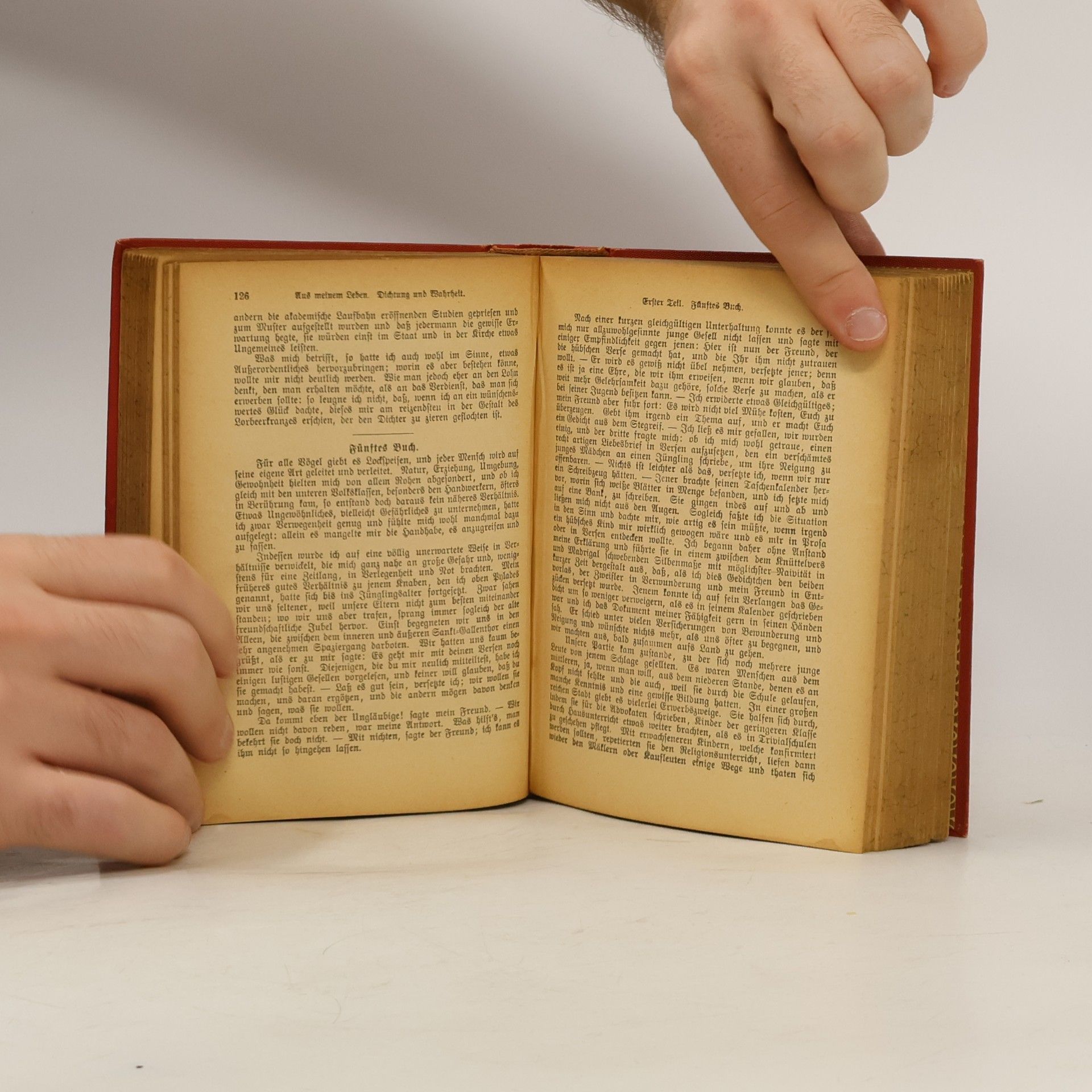 Johann Wolfgang von Goethe Goethes ausgewählte Werke in sechzehn Bänden. Dreizehnter Band