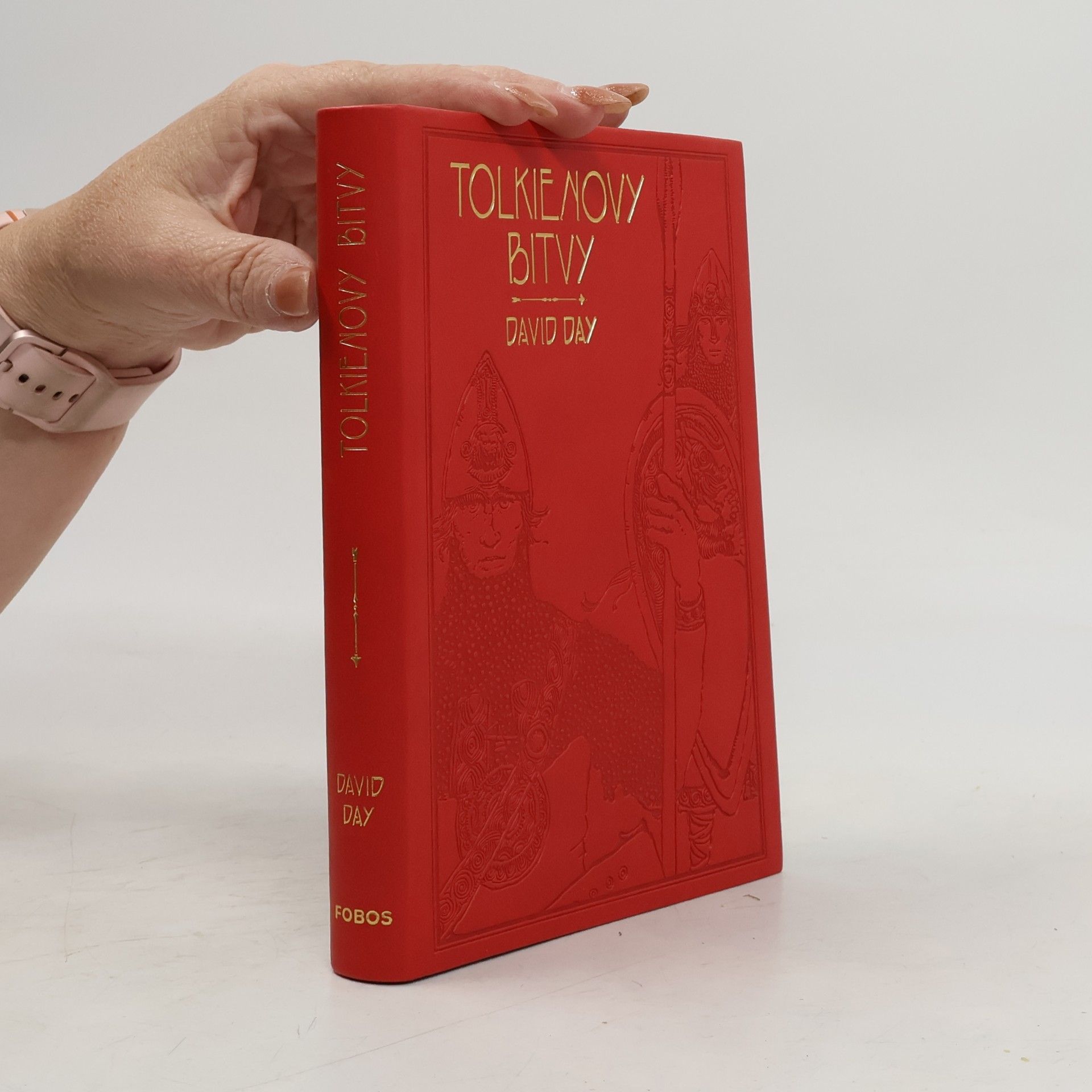 David Day Tolkienovy bitvy