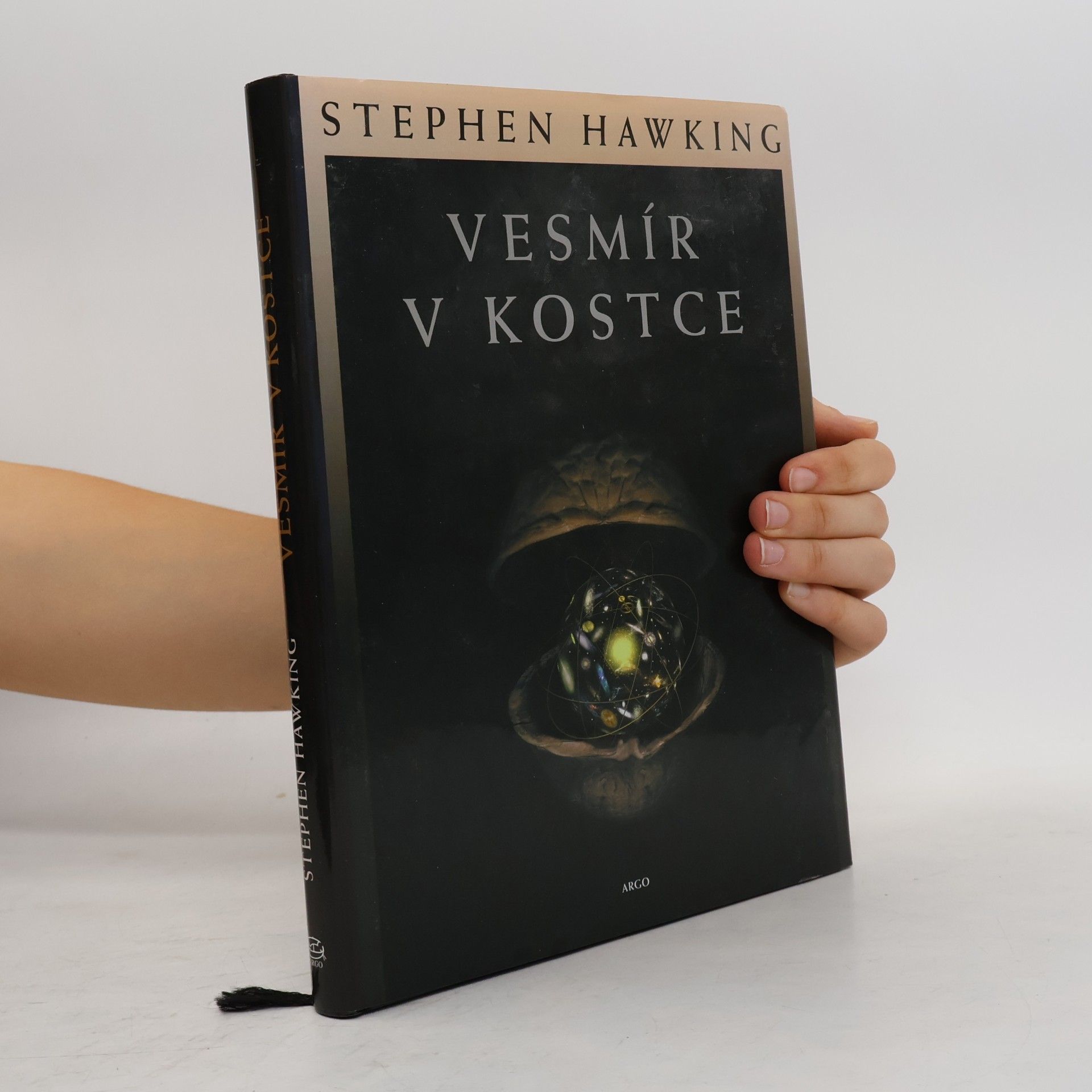 Stephen Hawking Vesmír v kostce