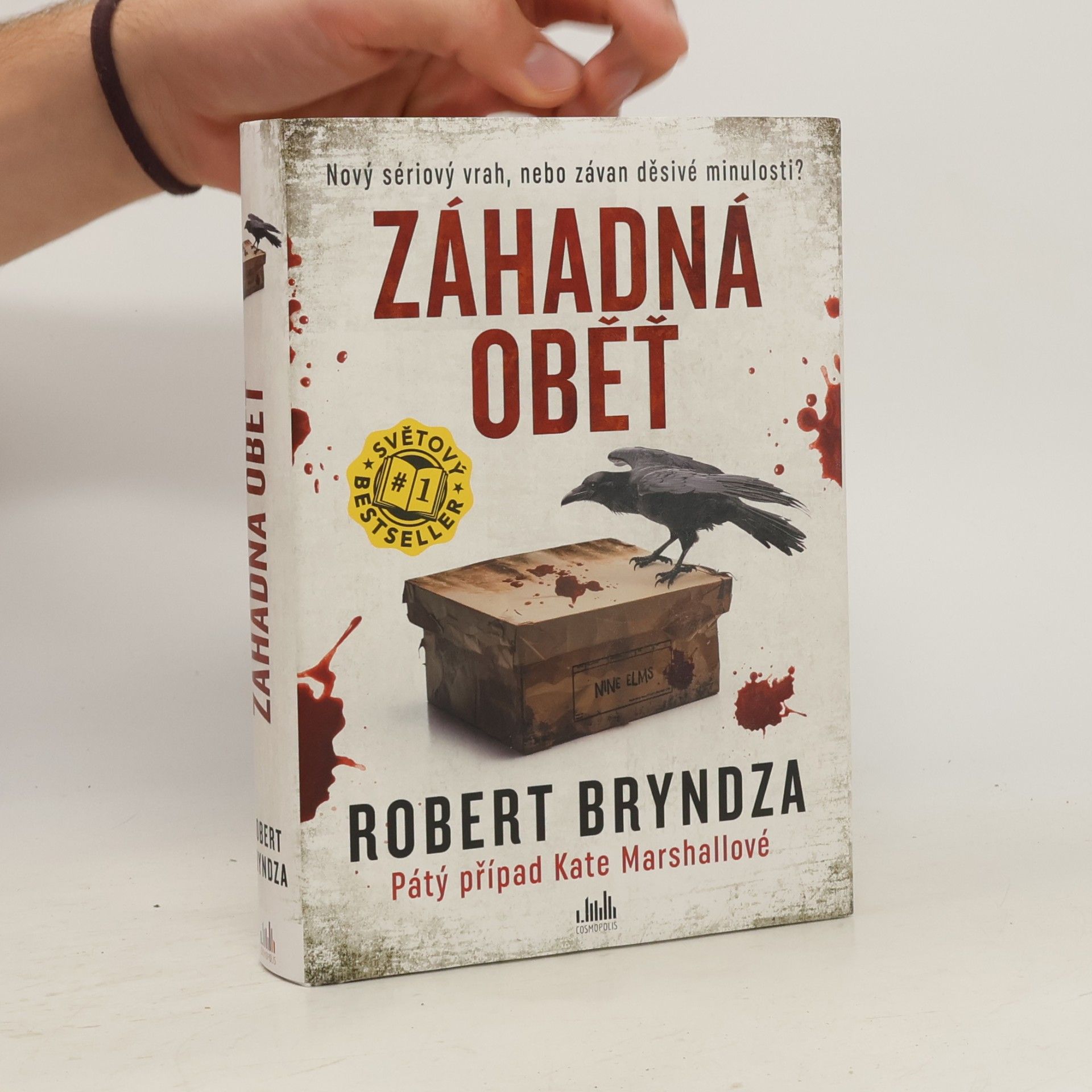 Robert Bryndza Záhadná oběť